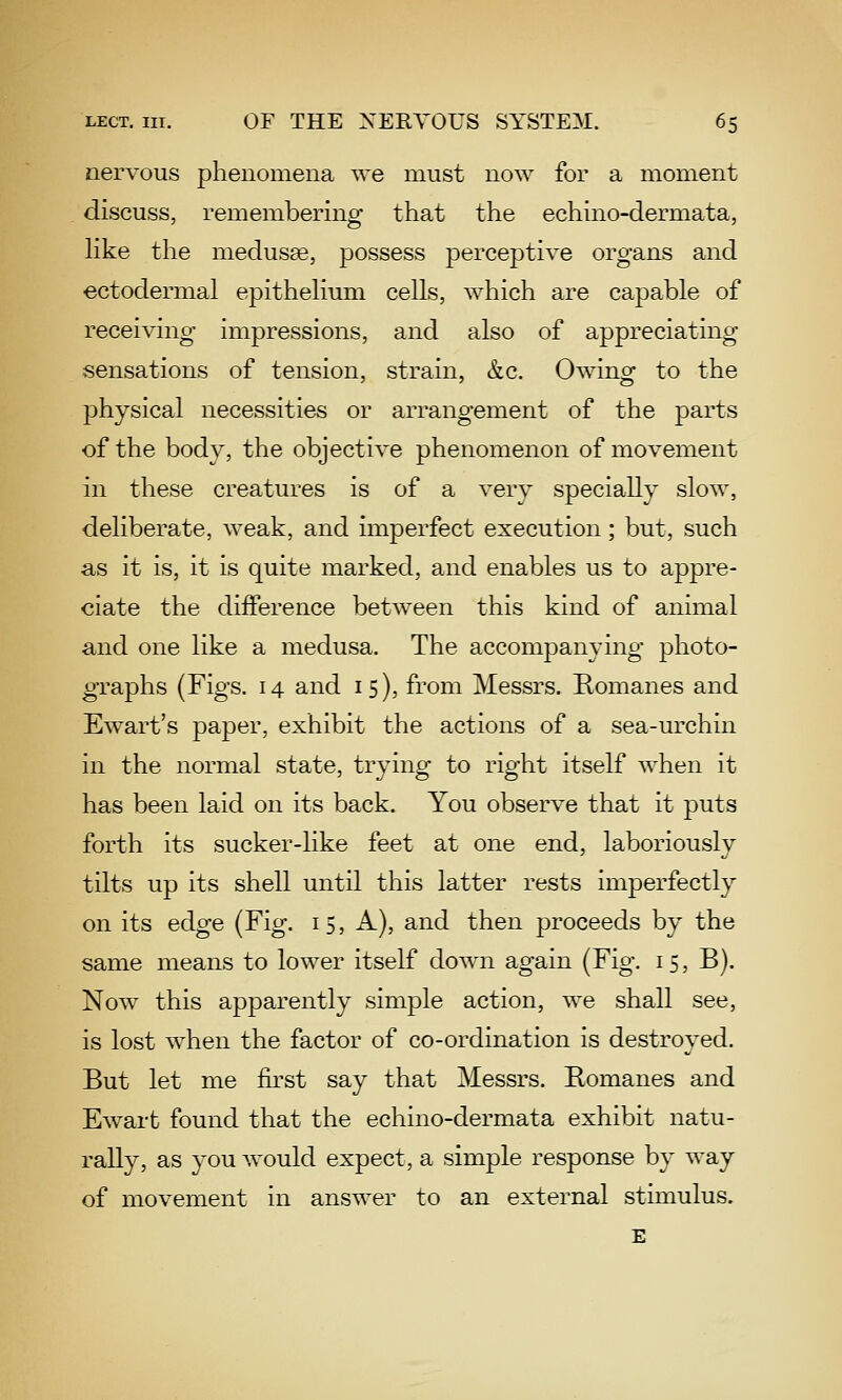 nervous phenomena we must now for a moment discuss, remembering that the echino-dermata, like the medusse, possess perceptive organs and ectodermal epithelium cells, which are capable of receiving impressions, and also of appreciating sensations of tension, strain, &c. Owing to the physical necessities or arrangement of the parts of the body, the objective phenomenon of movement in these creatures is of a verv specially slow, deliberate, weak, and imperfect execution; but, such as it is, it is quite marked, and enables us to appre- ciate the difference between this kind of animal and one like a medusa. The accompanying photo- graphs (Figs. 14 and 15), from Messrs. Romanes and Ewart's paper, exhibit the actions of a sea-urchin in the normal state, trying to right itself when it has been laid on its back. You observe that it puts forth its sucker-like feet at one end, laboriously tilts up its shell until this latter rests imperfectly on its edge (Fig. 15, A), and then proceeds by the same means to lower itself down again (Fig. 15, B). Now this apparently simple action, we shall see, is lost when the factor of co-ordination is destroyed. But let me first say that Messrs. Romanes and Ewart found that the echino-dermata exhibit natu- rally, as you would expect, a simple response by way of movement in answer to an external stimulus. E