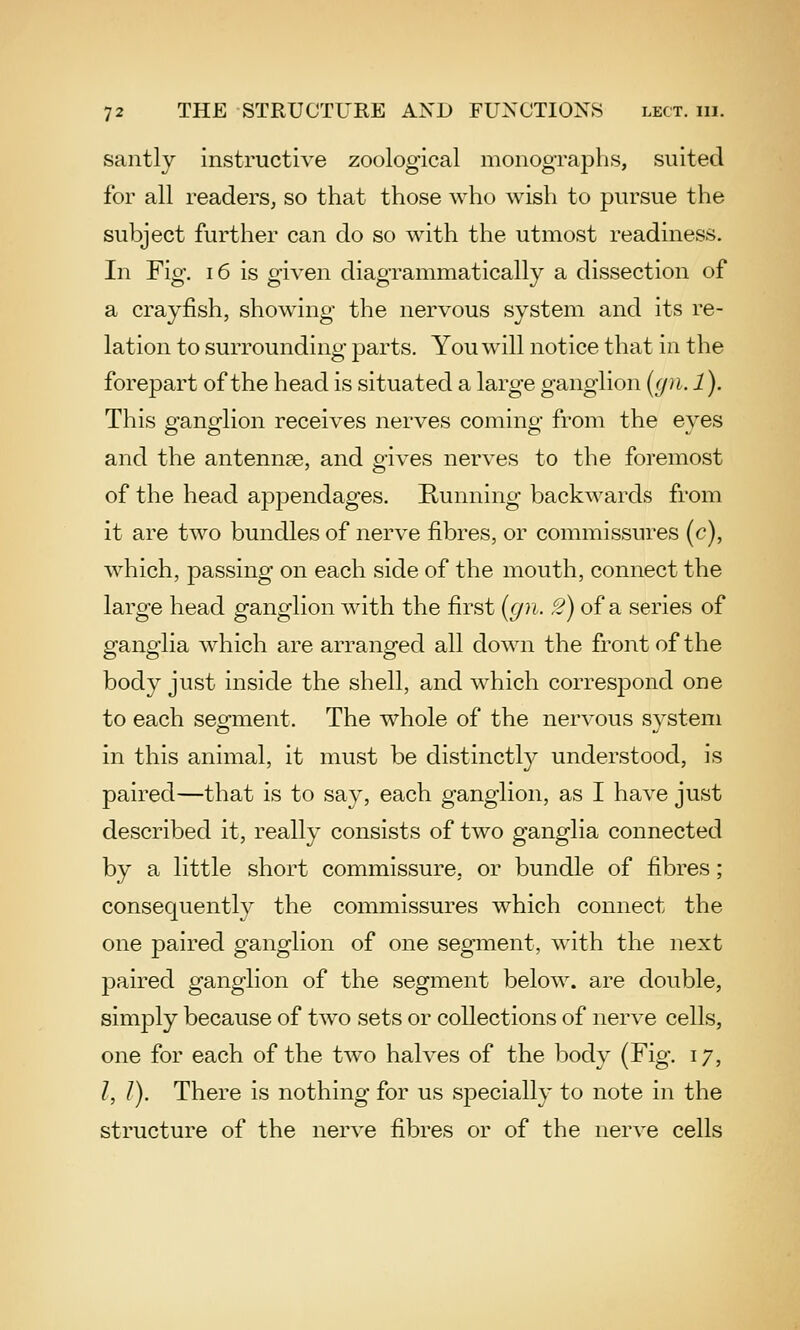 santly instructive zoological monographs, suited for all readers, so that those who wish to pursue the subject further can do so with the utmost readiness. In Fig. 16 is given diagrammatically a dissection of a crayfish, showing the nervous system and its re- lation to surrounding parts. You will notice that in the forepart of the head is situated a large ganglion (gn.l). This ganglion receives nerves coming from the eyes and the antennae, and gives nerves to the foremost of the head appendages. Running backwards from it are two bundles of nerve fibres, or commissures (c), which, passing on each side of the mouth, connect the large head ganglion with the first {gn. /?) of a series of ganglia which are arranged all down the front of the body just inside the shell, and which correspond one to each seg-ment. The whole of the nervous svstem in this animal, it must be distinctly understood, is paired—that is to say, each ganglion, as I have just described it, really consists of two ganglia connected by a little short commissure, or bundle of fibres; consequently the commissures which connect the one paired ganglion of one segment, with the next paired ganglion of the segment below, are double, simply because of two sets or collections of nerve cells, one for each of the two halves of the body (Fig. 17, /, /). There is nothing for us specially to note in the structure of the nerve fibres or of the nerve cells