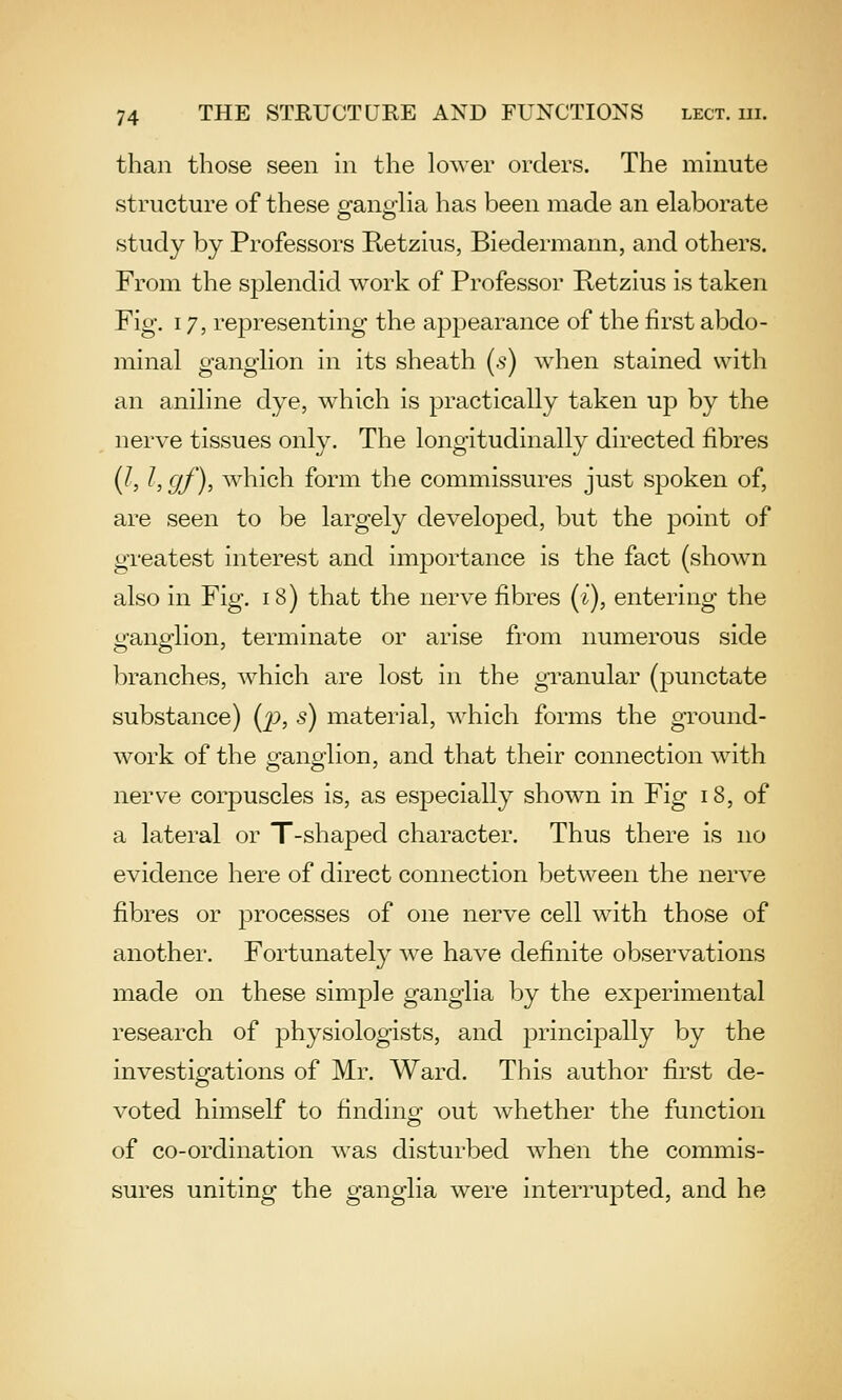 than those seen in the lower orders. The minute structure of these ganglia has been made an elaborate study by Professors Ketzius, Biedermann, and others. From the splendid work of Professor E-etzius is taken Fig, 17, representing the appearance of the first abdo- minal ganglion in its sheath (s) when stained with an aniline dye, which is practically taken up by the nerve tissues only. The longitudinally directed fibres (/, /, gf), which form the commissures just spoken of, are seen to be largely developed, but the point of greatest interest and importance is the fact (shown also in Fig. i8) that the nerve fibres (i), entering the ganglion, terminate or arise from numerous side branches, which are lost in the granular (punctate substance) (p, s) material, which forms the ground- work of the ganglion, and that their connection with nerve corpuscles is, as especially shown in Fig 18, of a lateral or T-shaped character. Thus there is no evidence here of direct connection between the nerve fibres or jDrocesses of one nerve cell with those of another. Fortunately we have definite observations made on these simple ganglia by the experimental research of physiologists, and j^i'incijDally by the investigations of Mr. Ward. This author first de- voted himself to findino- out whether the function of co-ordination was disturbed Avhen the commis- sures uniting the ganglia were interrupted, and he