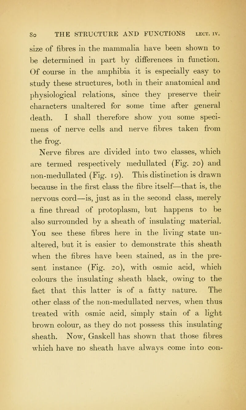 size of fibres in the mammalia have been shown to be determined in part by differences in function. Of course in the amphibia it is especially easy to study these structures, both in their anatomical and physiological relations, since they preserve their characters unaltered for some time after general death. I shall therefore show you some speci- mens of nerve cells and nerve fibres taken from the frog. Nerve fibres are divided into two classes, which are termed respectively medullated (Fig. 20) and non-medullated (Fig. 19). This distinction is drawn because in the first class the fibre itself—that is, the nervous cord—is, just as in the second class, merely a fine thread of protoplasm, but happens to be also surrounded by a sheath of insulating material. You see these fibres here in the living state un- altered, but it is easier to demonstrate this sheath when the fibres have been stained, as in the pre- sent instance (Fig. 20), with osmic acid, which colours the insulating sheath black, owing to the fact that this latter is of a fatty nature. The other class of the non-medullated nerves, when thus treated with osmic acid, simply stain of a light brown colour, as they do not possess this insulating- sheath. Now, Gaskell has shown that those fibres which have no sheath have always come into con-