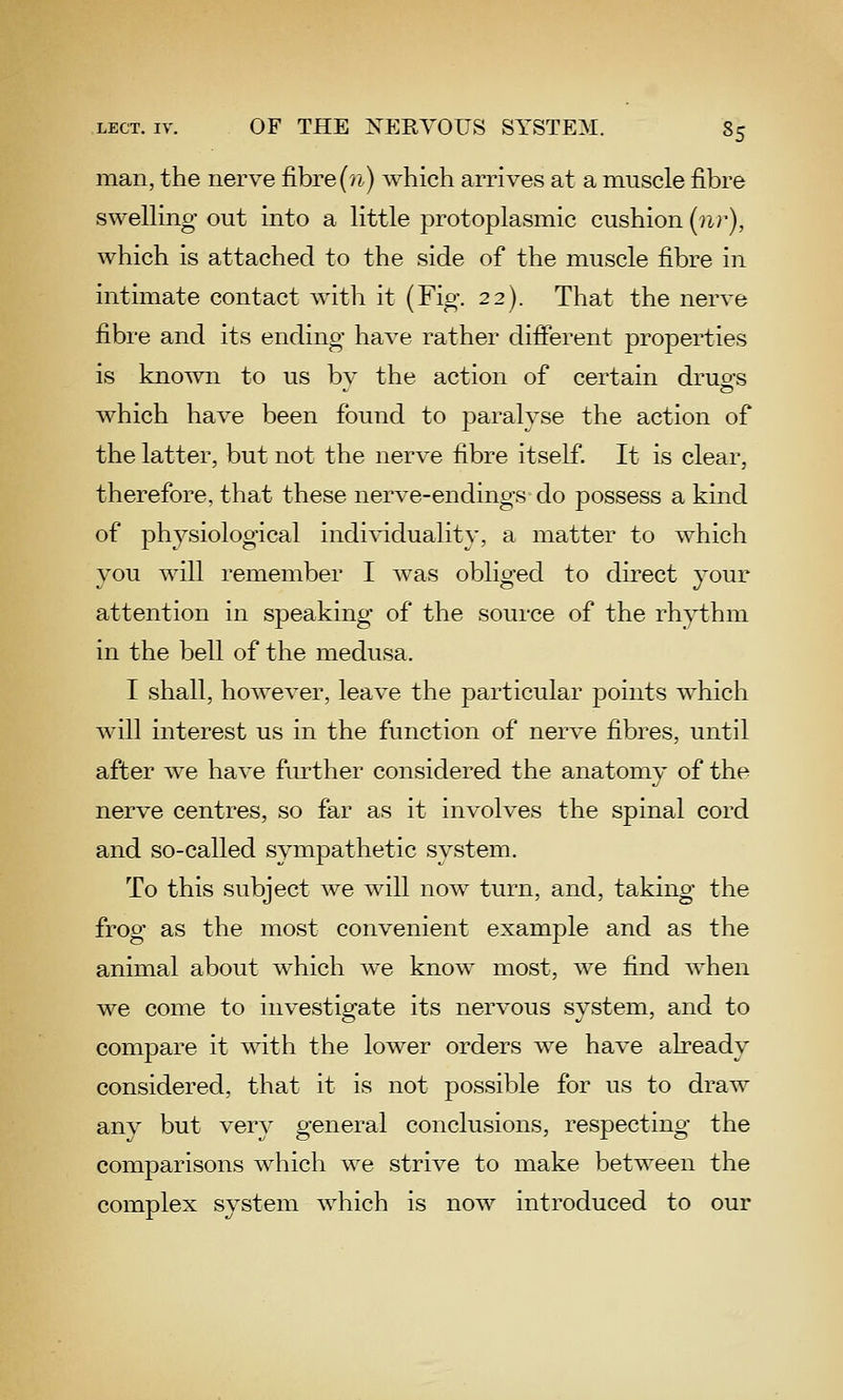 man, the nerve fibre(?i) which arrives at a muscle fibre sweUing out into a Httle protoplasmic cushion (nr), which is attached to the side of the muscle fibre in intimate contact with it {Fig. 22). That the nerve fibre and its ending have rather different properties is known to us bv the action of certain druo-s which have been found to paralyse the action of the latter, but not the nerve fibre itself. It is clear, therefore, that these nerve-endings-do possess a kind of physiological individuality, a matter to which you will remember I was obhged to direct your attention in speaking of the source of the rhythm in the bell of the medusa. I shall, however, leave the particular points which will interest us in the function of nerve fibres, until after we have further considered the anatomy of the nerve centres, so far as it involves the spinal cord and so-called sympathetic system. To this subject we will now turn, and, taking the frog as the most convenient example and as the animal about which we know most, we find when we come to investisrate its nervous svstem, and to compare it with the lower orders we have already considered, that it is not possible for us to draw any but very general conclusions, respecting the comparisons which we strive to make between the complex system which is now introduced to our