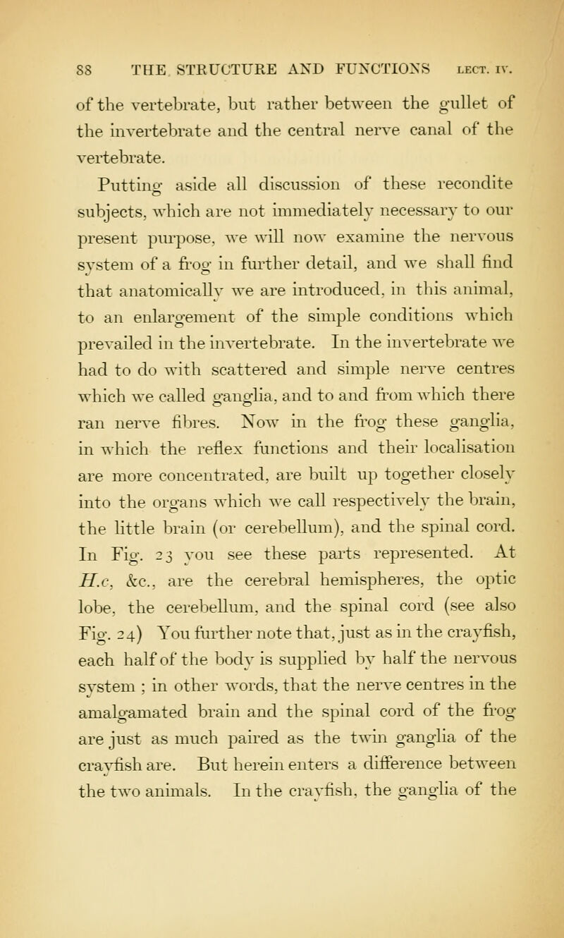 of the vertebrate, but rather between the gullet of the invertebrate and the central nerve canal of the vertebrate. Puttino- aside all discussion of these recondite o subjects, which are not immediately necessary to our present purpose, we will now examine the nervous system of a frog in fui^ther detail, and we shall find that anatomically we are introduced, in this animal, to an enlargement of the simple conditions which prevailed in the invertebrate. In the invertebrate we had to do with scattered and simple nerve centres which we called o-anHia, and to and froniAvhich there ran nerve fibres. Now in the frog these ganglia, in which the reflex functions and their localisation are more concentrated, are built up together closely into the organs which we call respectively the brain, the little brain (or cerebellum), and the spinal cord. In Fig. 23 vou see these parts represented. At H.c\ kQ., are the cerebral hemispheres, the optic lobe, the cerebellum, and the spinal cord (see also Fig. 24) You further note that, just as in the crayfish, each half of the body is supplied by half the nervous svstem ; in other words, that the nerve centres in the amalgamated brain and the spinal cord of the frog are just as much paired as the twin ganglia of the crayfish are. But herein enters a difference between the two animals. In the cravfish, the ganglia of the