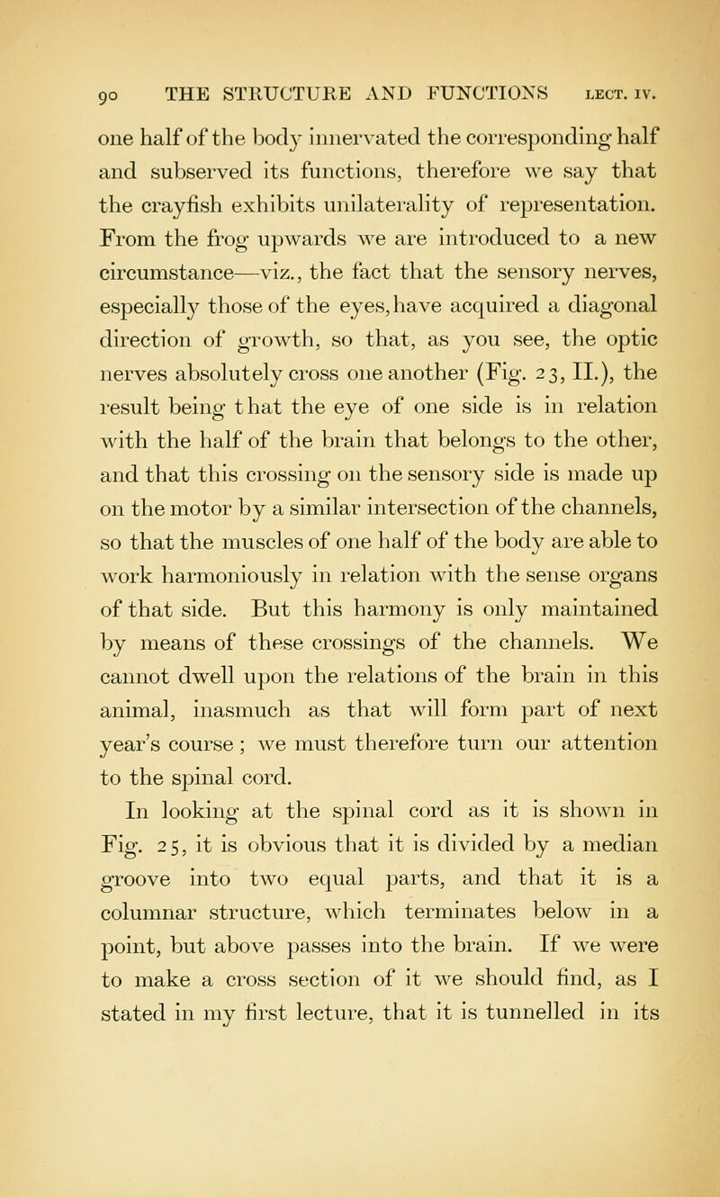 one half of the bod}^ innervated the corresponding half and subserved its functions, therefore we say that the crayfish exhibits unilaterality of representation. From the frog upwards we are introduced to a new circumstance—viz., the fact that the sensory nerves, especially those of the eyes, have acquired a diagonal direction of growth, so that, as you see, the optic nerves absolutely cross one another (Fig. 23, II.), the result being that the eye of one side is in relation with the half of the brain that belongs to the other, and that this crossing on the sensory side is made up on the motor by a similar intersection of the channels, so that the muscles of one half of the body are able to work harmoniously in relation with the sense organs of that side. But this harmony is only maintained by means of these crossings of the channels. We cannot dwell upon the relations of the brain in this animal, inasmuch as that will form part of next year's course; we must therefore turn our attention to the spinal cord. In looking at the spinal cord as it is shown in Fig. 25, it is obvious that it is divided by a median groove into two equal parts, and that it is a columnar structure, which terminates below in a point, but above passes into the brain. If we were to make a cross section of it we should find, as I stated in my first lecture, that it is tunnelled in its