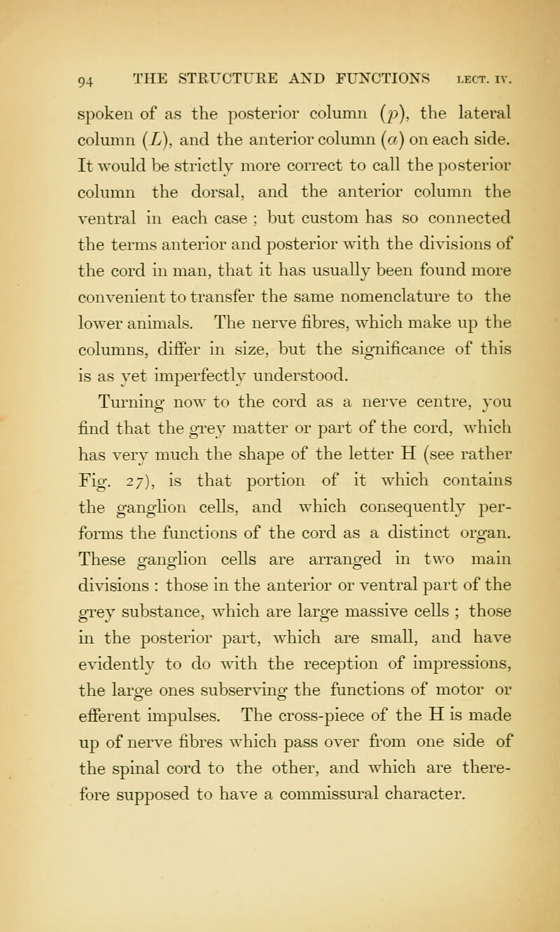 spoken of as the posterior column (p), the lateral column (X), and the anterior column (a) on each side. It would be strictly more correct to call the posterior column the dorsal, and the anterior column the ventral in each case ; but custom has so connected the terms anterior and posterior with the divisions of the cord in man, that it has usually been found more convenient to transfer the same nomenclature to the lower animals. The nerve fibres, which make up the columns, differ in size, but the significance of this is as yet imperfectly understood. Turning now to the cord as a nerve centre, you find that the grey matter or part of the cord, which has verv much the shape of the letter H (see rather Fig. 27), is that portion of it which contains the ganglion cells, and which consequently per- forms the functions of the cord as a distinct organ. These g-anoflion cells are arrano^ed in two main divisions : those in the anterior or ventral part of the grey substance, which are large massive cells ; those in the posterior part, which are small, and have evidently to do with the reception of impressions, the large ones subserving the functions of motor or efferent impulses. The cross-piece of the H is made up of nerve fibres which pass over from one side of the spinal cord to the other, and which are there- fore supposed to have a commissural character.