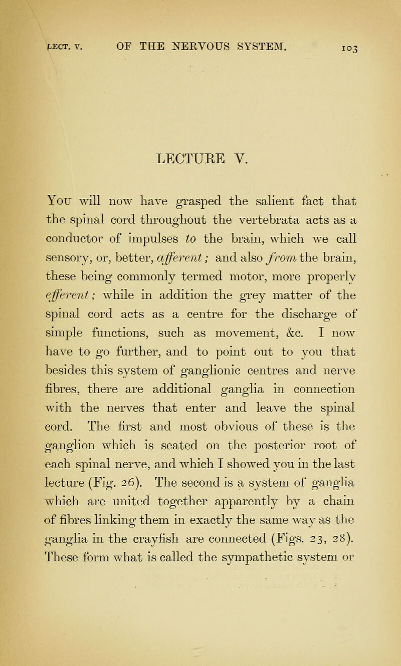 LECTUHE y. You will now have grasped the salient fact that the spinal cord throughout the vertebrata acts as a conductor of impulses to the brain, which we call sensory, or, better, afferent; and also from the brain, these being commonly termed motor, more properly ejferent; while in addition the gTey matter of the spinal cord acts as a centre for the discharge of simple functions, such as movement, &c. I now have to go further, and to point out to you that besides this system of ganglionic centres and nerve fibres, there are additional o-anoiia in connection with the nerves that enter and leave the spinal cord. The first and most obvious of these is the ganglion which is seated on the posterior root of each spinal nerve, and which I showed you in the last lecture (Fig. 26). The second is a system of ganglia w^hich are united together apparently by a chain of fibres linking them in exactly the same way as the ganglia in the crayfish are connected (Figs. 23, 28), These form what is called the S3niipathetic system or