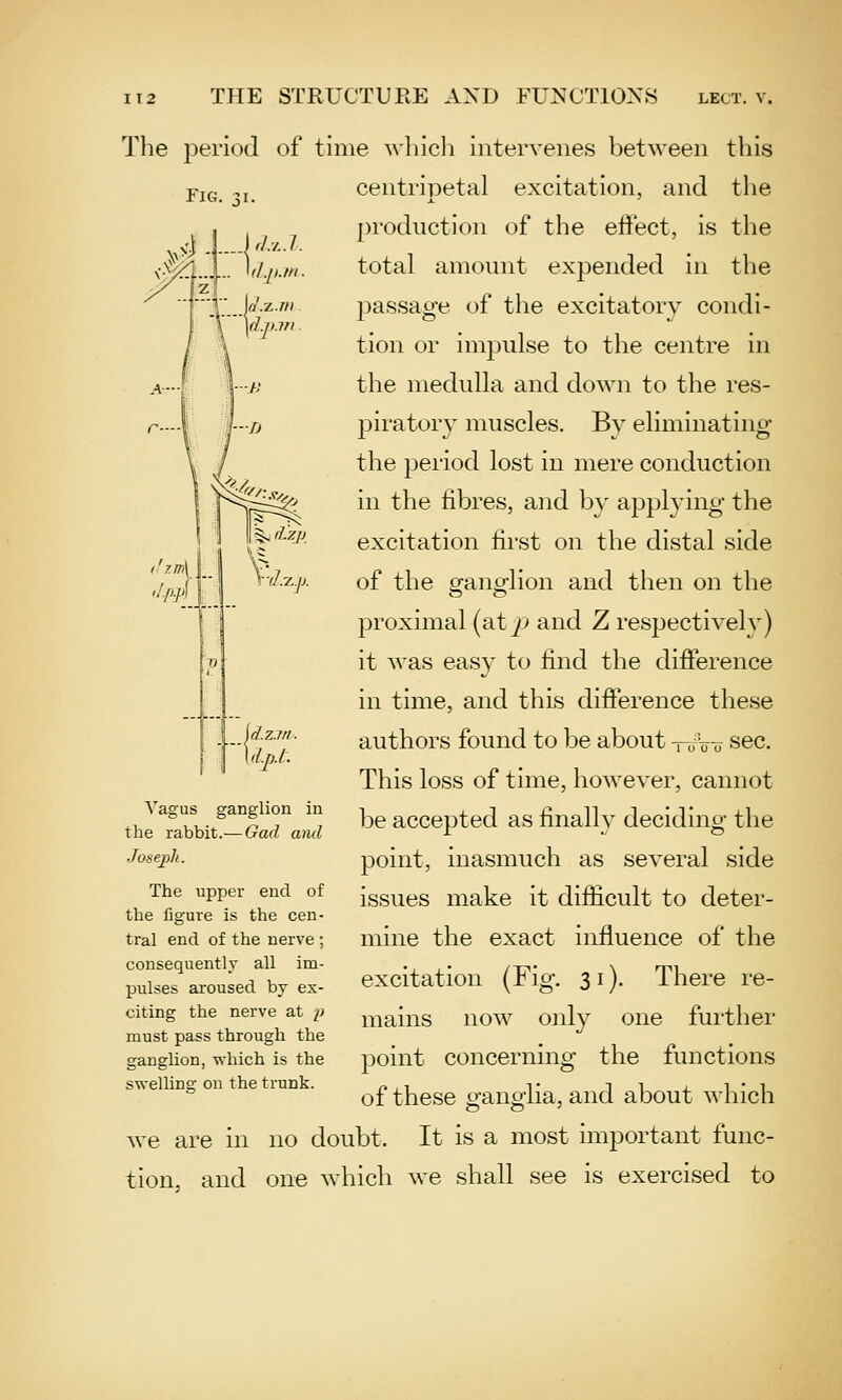The period of time whicli intervenes between this centripetal excitation, and tlie production of the effect, is the total amount expended in the passage of the excitatory condi- tion or impulse to the centre in the medulla and down to the res- piratory muscles. By eliminating the period lost in mere conduction in the fibres, and by applying the excitation first on the distal side of the ganglion and then on the proximal (at^ and Z respectively) it was easy to find the difference in time, and this difference these authors found to be about —o-o-o sec. This loss of time, however, cannot be accepted as finally deciding the point, inasmuch as several side issues make it difiicult to deter- mine the exact influence of the excitation (Fig. 31). There re- mains now only one further point concerning the functions of these ganglia, and about which we are in no doubt. It is a most important func- tion, and one which we shall see is exercised to Vagus ganglion in the rabbit.— Gad ami Joseph. The upper end of the figure is the cen- tral end of the nerve ; consequently all im- pulses aroused bj ex- citing the nerve at p must pass through the ganglion, which is the swelling on the trunk.