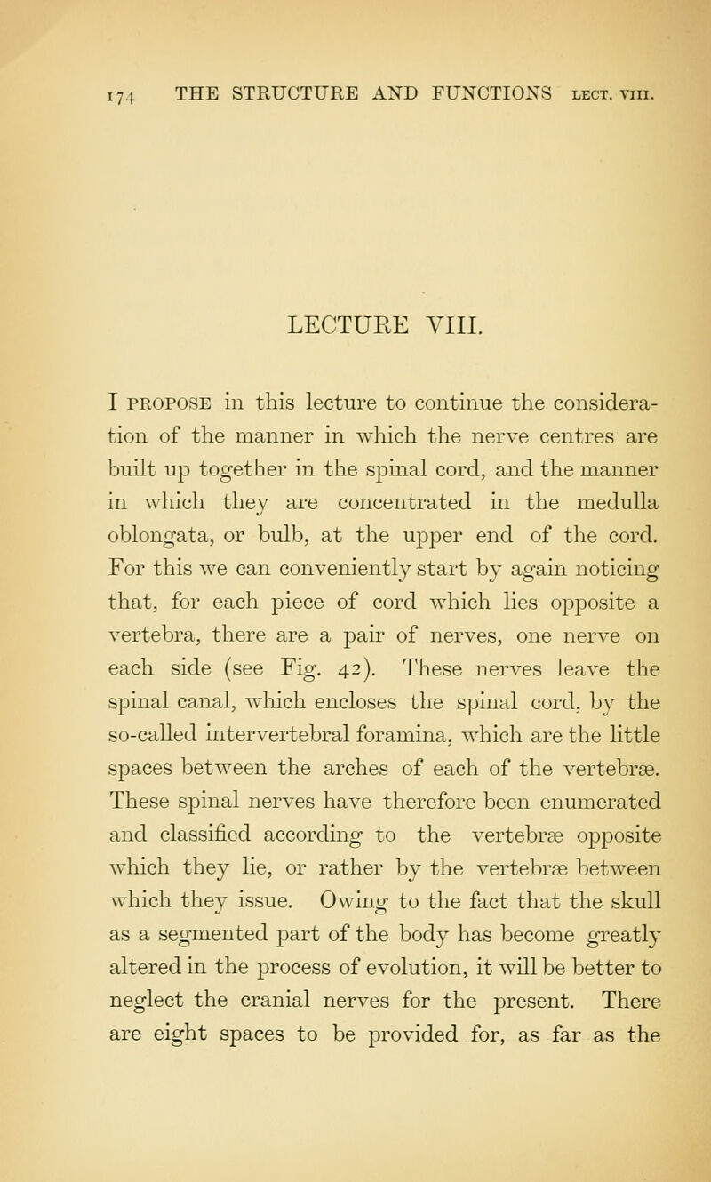 LECTURE VIII. I PROPOSE in this lecture to continue the considera- tion of the manner in which the nerve centres are built up together in the spinal cord, and the manner in which they are concentrated in the medulla oblongata, or bulb, at the upper end of the cord. For this we can conveniently start by again noticing that, for each piece of cord which lies opposite a vertebra, there are a pair of nerves, one nerve on each side (see Fig. 42). These nerves leave the spinal canal, which encloses the spinal cord, by the so-called intervertebral foramina, which are the little spaces between the arches of each of the vertebrae. These spinal nerves have therefore been enumerated and classified according to the vertebrae opposite which they lie, or rather by the vertebrae between which they issue. Owing to the fact that the skull as a segmented part of the body has become greatly altered in the process of evolution, it will be better to neglect the cranial nerves for the present. There are eight spaces to be provided for, as far as the