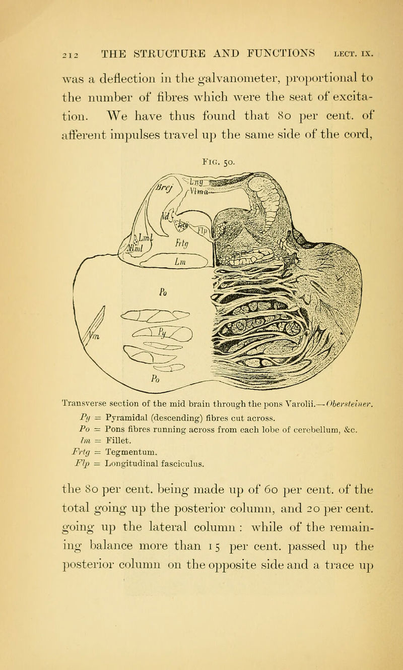 was a deflection in tlie g-alvanonieter, |)i'()})()rti(>nal to the ninnber of fibres wliich were the seat of excita- tion. We have thus found tliat Ho j)ei- cent, of afterent impulses travel up the same side of the cord, Fig. 50. Transverse section of the mid brain through the jDons YavoYn.^(>berf:feiner. Py = Pyramidal (descending) fibres cut across. Po = Pons fibres running across from each lobe of cerebellum, &c. Im = Fillet. Frtg = Tegmentum. Flp = Longitudinal fasciculus. the 80 per cent, being made up of 60 per cent, of the total going up the posterior column, and 20 per cent, going up the lateral column : while of the remain- ing balance more than i 5 per cent, passed up the posterior column on the opposite side and a trace up