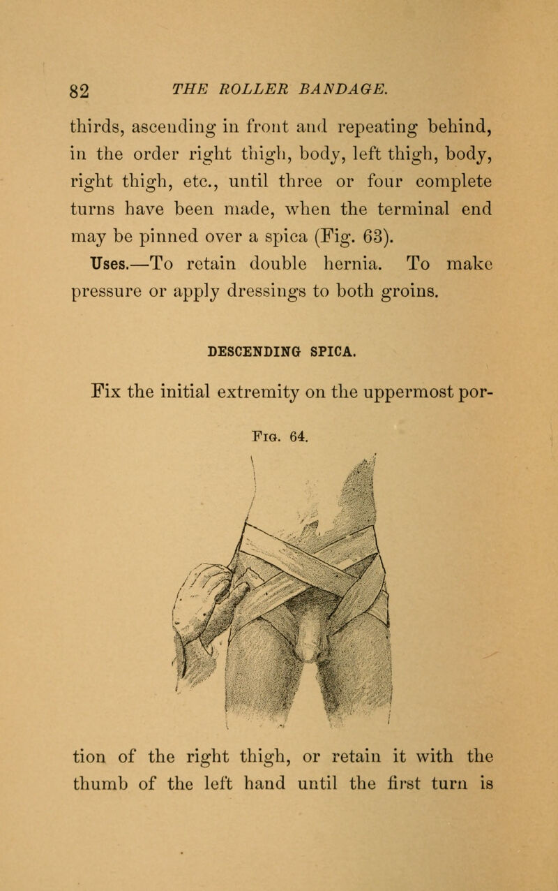 thirds, ascending in front and repeating behind, in the order right thigli, body, left thigh, body, right thigh, etc., until three or four complete turns have been made, when the terminal end may be pinned over a spica (Fig. 63). Uses.—To retain double hernia. To make pressure or apply dressings to both groins. DESCENDING SPICA. Fix the initial extremity on the uppermost por- FiG. 64. \ tion of the right thigh, or retain it with the thumb of the left hand until the first turn is