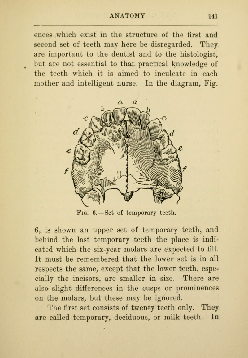 ences which exist in the structure of the first and second set of teeth may here be disregarded. They are important to the dentist and to the histologist, but are not essential to that practical knowledge of the teeth which it is aimed to inculcate in each mother and intelligent nurse. In the diagram, Fig. Fig. 6.—Set of temporary teeth. 6, is shown an upper set of temporary teeth, and behind the last temporary teeth the place is indi- cated which the six-year molars are expected to fill. It must be remembered that the lower set is in all respects the same, except that the lower teeth, espe- cially the incisors, are smaller in size. There are also slight differences in the cusps or prominences on the molars, but these may be ignored. The first set consists of twenty teeth only. They are called temporary, deciduous, or milk teeth. In