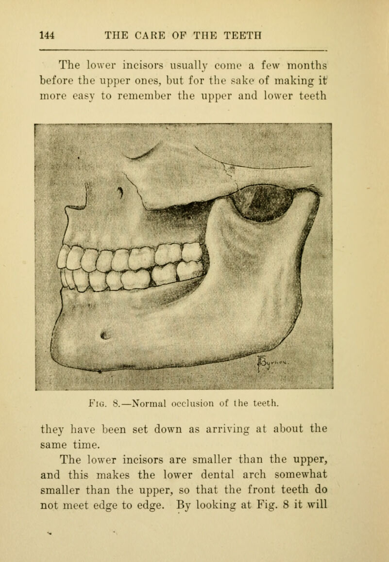 The lower incisors usually come a few months before the upper ones, but for the sake of making it more easy to remember the upper and lower teeth Fig. 8.—Normal occlusion of the teeth. they have been set down as arriving at about the same time. The lower incisors are smaller than the upper, and this makes the lower dental arch somewhat smaller than the upper, so that the front teeth do not meet edge to edge. By looking at Fig. 8 it will