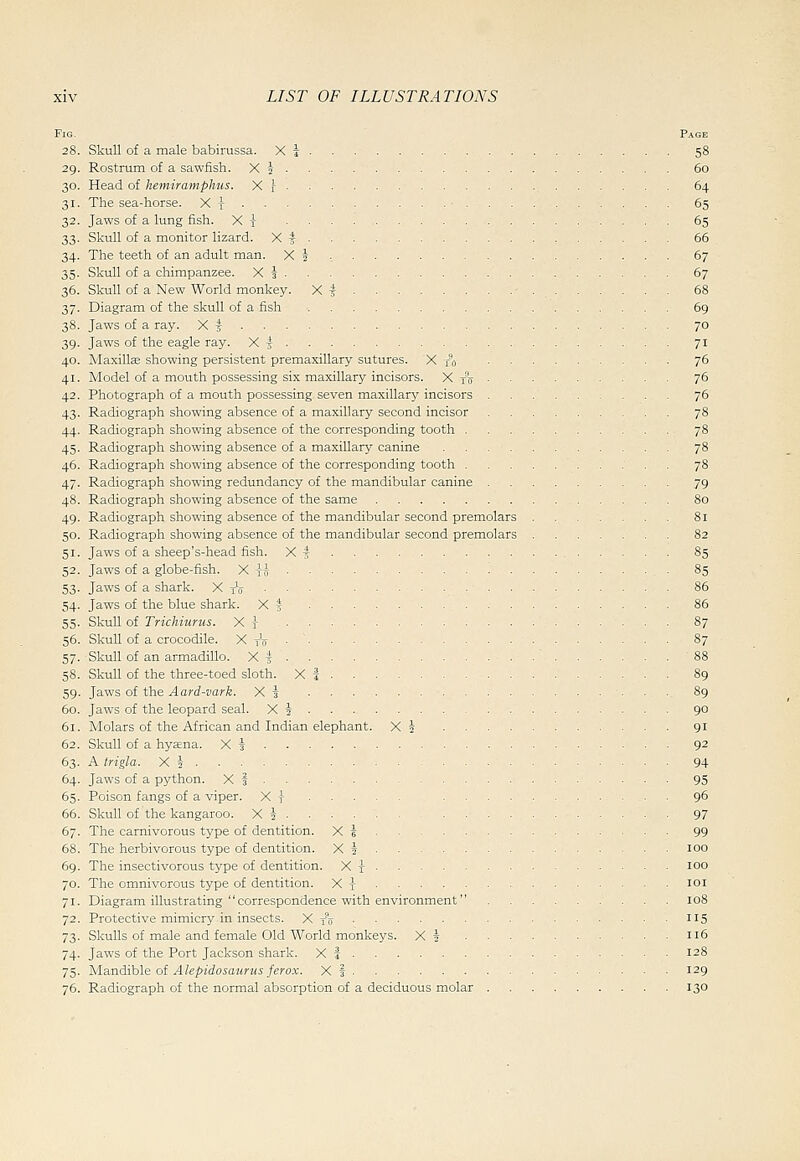 Fig. Page 28. Skull of a male babirussa. X i 58 29. Rostrum of a sawfish. X 5 60 30. Head of hemiramphiis. X r 64 31. The sea-horse. X i 65 32. Jaws of a lung fish. X i 65 33. Skull of a monitor lizard. X * 66 34. The teeth of an adult man. X i , 67 35. Skull of a chimpanzee. X 3 67 36. Skull of a New World monkey. X I 68 37. Diagram of the skull of a fish 69 38. Jaws of a ray. X i 70 39. Jaws of the eagle ray. X ^ 71 40. Maxillffi showing persistent premaxillary sutures. X to 76 41. Model of a mouth possessing six maxillary incisors. X j% 76 42. Photograph of a mouth possessing seven maxillary incisors 76 43. Radiograph showing absence of a maxillary second incisor 78 44. Radiograph showing absence of the corresponding tooth 78 45. Radiograph showing absence of a maxillary canine 78 46. Radiograph showing absence of the corresponding tooth 78 47. Radiograph showing redundancy of the mandibular canine 79 48. Radiograph showing absence of the same 80 49. Radiograph showing absence of the mandibular second premolars 81 50. Radiograph showing absence of the mandibular second premolars 82 51. Jaws of a sheep's-head fish. X | 85 52. Jaws of a globe-fish. X H 85 53. Jaws of a shark. X tV 86 54. Jaws of the blue shark. X 4 86 55. Skull of Trichinrus. X j 87 56. Skull of a crocodile. X tV • 87 57. Skull of an armadillo. X ^ 88 58. Skull of the three-toed sloth. X i 89 59. Jaws of the Aard-vark. X \ 89 60. Jaws of the leopard seal. X i 90 61. Molars of the African and Indian elephant. Xi 91 62. Skull of a hyaena. X | 92 63. A trigla. X + 94 64. Jaws of a python. X | 95 65. Poison fangs of a viper. X y 96 66. Skull of the kangaroo. X i 97 67. The carnivorous type of dentition. X i 99 68. The herbivorous type of dentition. X i 100 69. The insectivorous type of dentition. X \ 100 70. The omnivorous type of dentition. X \ loi 71. Diagram illustrating  correspondence with environment 108 72. Protective mimicry in insects. X to '15 73. Skulls of male and female Old World monkeys. X 4 116 74. Jaws of the Port Jackson shark. X J 128 75. yisi.-a6ih\& oi Alepidosaurus jerox. X f 129 76. Radiograph of the normal absorption of a deciduous molar 130