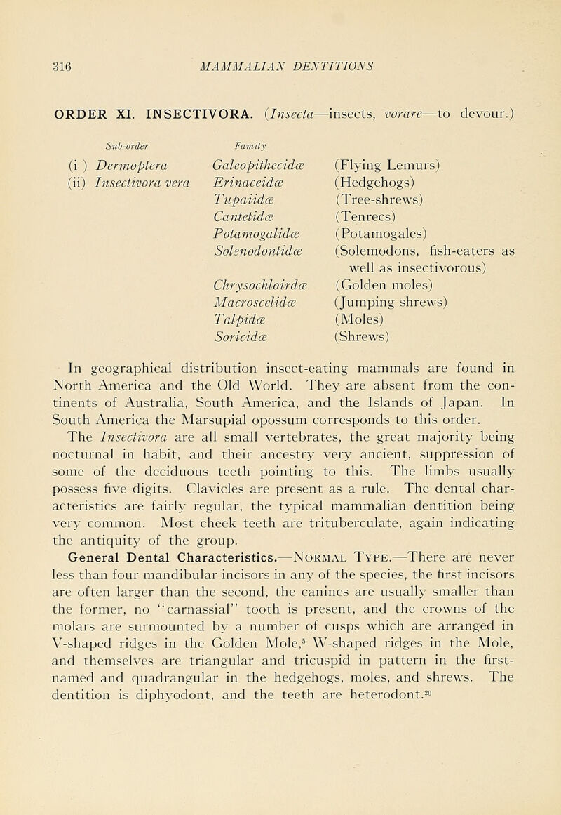 ORDER XI. INSECTIVORA. {Insecta—insects, vorare—to devour.) Sub-order Family (i ) Dermoptera Galeopithecidce (Flying Lemurs) (ii) Insectivora vera Erinaceidce (Hedgehogs) Tupaiidce (Tree-shrews) CantetidcB (Tenrecs) Potamogalidce (Potamogales) SohnodontidcB (Solemodons, fish-eaters as well as insectivorous) ChrysochloirdcE (Golden moles) MacrosceUdce (Jumping shrews) TalpidcB (Moles) Soricidce (Shrews) In geographical distribution insect-eating mammals are found in North America and the Old World. They are absent from the con- tinents of Australia, South America, and the Islands of Japan. In South America the Marsupial opossum corresponds to this order. The Insectivora are all small vertebrates, the great majority being nocturnal in habit, and their ancestry very ancient, suppression of some of the deciduous teeth pointing to this. The limbs usually possess five digits. Clavicles are present as a rule. The dental char- acteristics are fairly regular, the typical mammalian dentition being very common. Most cheek teeth are trituberculate, again indicating the antiquity of the group. General Dental Characteristics.—Normal Type.—There are never less than four mandibular incisors in any of the species, the first incisors are often larger than the second, the canines are usually smaller than the former, no carnassial tooth is present, and the crowns of the molars are surmounted by a number of cusps which are arranged in V-shaped ridges in the Golden Mole,^ W-shaped ridges in the Mole, and themselves are triangular and tricuspid in pattern in the first- named and quadrangular in the hedgehogs, moles, and shrews. The dentition is diphyodont, and the teeth are heterodont.-