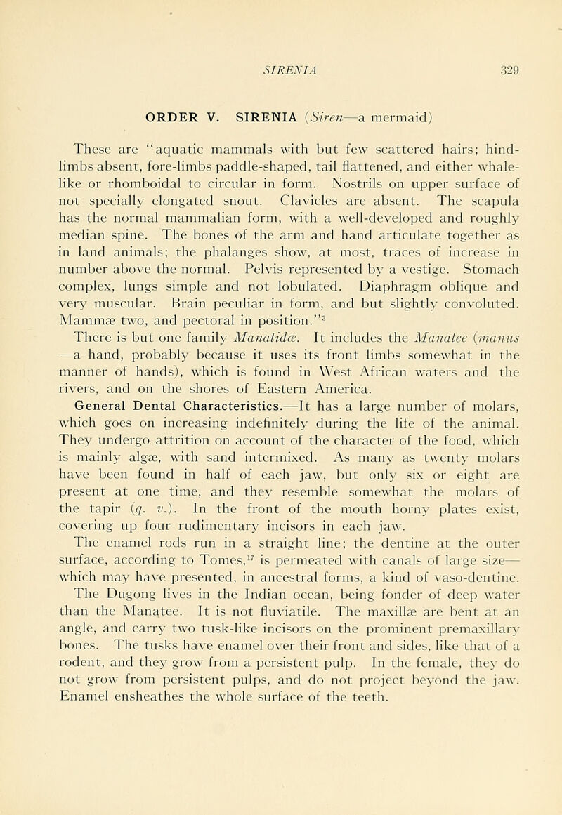 ORDER V. SIRENIA {Siren—a. mermaid) These are aquatic mammals with but few scattered hairs; hind- limbs absent, fore-limbs paddle-shaped, tail flattened, and either whale- like or rhomboidal to circular in form. Nostrils on upper surface of not specially elongated snout. Clavicles are absent. The scapula has the normal mammalian form, with a well-developed and roughly median spine. The bones of the arm and hand articulate together as in land animals; the phalanges show, at most, traces of increase in number above the normal. Pelvis represented by a vestige. Stomach complex, lungs simple and not lobulated. Diaphragm oblique and very muscular. Brain peculiar in form, and but slightly convoluted. Mammae two, and pectoral in position.'' There is but one family Manatidce. It includes the Manatee (manus —a hand, probably because it uses its front limbs somewhat in the manner of hands), which is found in West African waters and the rivers, and on the shores of Eastern America. General Dental Characteristics.—It has a large number of molars, which goes on increasing indefinitely during the life of the animal. They undergo attrition on account of the character of the food, which is mainly algae, with sand intermixed. As many as twenty molars have been found in half of each jaw, but only six or eight are present at one time, and they resemble somewhat the molars of the tapir {q. v.). In the front of the mouth horny plates exist, covering up four rudimentary incisors in each jaw. The enamel rods run in a straight line; the dentine at the outer surface, according to Tomes, is permeated with canals of large size— which may have presented, in ancestral forms, a kind of vaso-dentine. The Dugong lives in the Indian ocean, being fonder of deep water than the Manatee. It is not fluviatile. The maxillae are bent at an angle, and carry two tusk-like incisors on the prominent premaxillary bones. The tusks have enamel over their front and sides, like that of a rodent, and they grow from a persistent pulp. In the female, the}- do not grow from persistent pulps, and do not project beyond the jaw. Enamel ensheathes the whole surface of the teeth.
