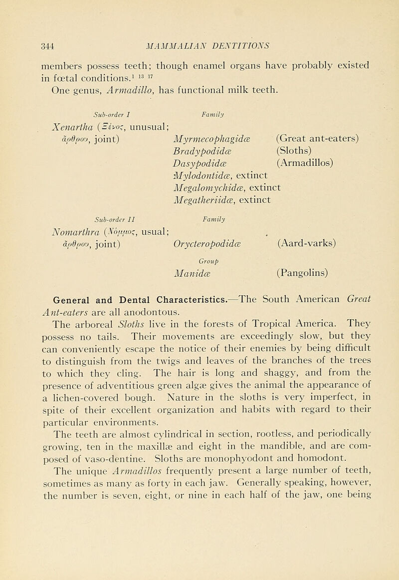 members possess teeth; though enamel organs have probably existed in foetal conditions.^ ^^  One genus, Armadillo, has functional milk teeth. Sub-order I Family Xenartha {Eivo:^ unusual; dpdpo'j, joint) Myrmecophagidce (Great ant-eaters) Bradypodidce (Sloths) DasypodidcB (Armadillos) MylodontidcB, extinct Megalomychidce, extinct MegatheriidcB, extinct Sub-order II Family Nomarthra (Nop/xoi, usual; dfjdpou^ joint) Orycteropodidce (Aard-varks) Group ManidcB (Pangolins) General and Dental Characteristics.—The South American Great Ant-eaters are all anodontous. The arboreal Sloths live in the forests of Tropical America. They possess no tails. Their movements are exceedingly slow, but they can conveniently escape the notice of their enemies by being difificult to distinguish from the twigs and leaves of the branches of the trees to which they cling. The hair is long and shaggy, and from the presence of adventitious green algae gives the animal the appearance of a lichen-covered bough. Nature in the sloths is very imperfect, in spite of their excellent organization and habits with regard to their particular environments. The teeth are almost C3-lindrical in section, rootless, and periodically growing, ten in the maxillae and eight in the mandible, and are com- posed of vaso-dentine. Sloths are monophyodont and homodont. The unique Armadillos frequently present a large number of teeth, sometimes as many as forty in each jaw. Generally speaking, however, the number is seven, eight, or nine in each half of the jaw, one being