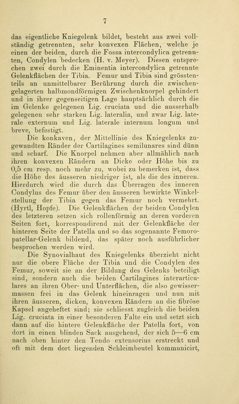 das eigentliche Kniegelenk bildet, besteht aus zwei voll- ständig getrennten, sehr konvexen Flächen, welche je einen der beiden, durch die Fossa intercondylica getrenn- ten, Condylen bedecken (H. v. Meyer). Diesen entspre- chen zwei durch die Eminentia intercondylica getrennte Gelenkflächen der Tibia. Femur und Tibia sind grössten- teils an unmittelbarer Berührung durch die zwischen- gelagerten halbmondförmigen Zwischenknorpel gehindert und in ihrer gegenseitigen Lage hauptsächlich durch die im Gelenke gelegenen Lig. cruciata und die ausserhalb gelegenen sehr starken Lig. lateralia, und zwar Lig, late- rale externum und Lig. laterale internum longum und breve, befestigt. Die konkaven, der Mittellinie des Kniegelenks zu- gewandten Ränder der Cartilagines semilunares sind dünn und scharf. Die Knorpel nehmen aber allmählich nach ihren konvexen Rändern an Dicke oder Höhe bis zu 0,5 cm resp. noch mehr zu, wobei zu bemerken ist, dass die Höhe des äusseren niedriger ist, als die des inneren. Hierdurch wird die durch das Überragen des inneren Condylus des Femur über den äusseren bewirkte Winkel- stellung der Tibia gegen das Femur noch vermehrt. (Hyrtl, Hopfe). Die Gelenkflächen der beiden Condylen des letzteren setzen sich rollenförmig an deren vorderen Seiten fort, korrespondirend mit der Gelenkfläche der hinteren Seite der Patella und so das sogenannte Femoro- patellar-Gelenk bildend, das später noch ausführlicher besprochen werden wird. Die Synovialhaut des Kniegelenks überzieht nicht nur die obere Fläche der Tibia und die Condylen des Femur, soweit sie an der Bildung des Gelenks beteiligt sind, sondern auch die beiden Cartilagines interarticu- lares an ihren Ober- und Unterflächen, die also gewisser- massen frei in das Gelenk hineinragen . und nun mit ihren äusseren, dicken, konvexen Rändern an die fibröse Kapsel angeheftet sind; sie schliesst zugleich die beiden Lig. cruciata in einer besonderen Falte ein und setzt sich dann auf die hintere Gelenkfläche der Patella fort, von dort in einen blinden Sack ausgehend, der sich 5—6 cm nach oben hinter den Tendo extensorius erstreckt und oft mit dem dort liegenden Schleimbeutel kommunicirt,