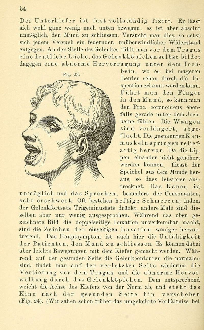 Der Unterkiefer ist fast vollständig fixirt. Er lässt sich wohl ganz wenig nach unten bewegen, es ist aber absolut unmöglich, den Mund zu schliessen. Versucht man dies, so setzt sich jedem Versuch ein federnder, unüberwindlicher Widerstand entgegen. An der Stelle desGrelenkes fühlt man vor dem Tragus eine deutliche Lücke, das Gelenkköpfchen selbst bildet dagegen eine abnorme Hervorragung unter dem Joch- bein, wo es bei mageren Leuten schon durch die In- spection erkannt werden kann. Führt man den Finger in den Mund, so kann man den Proc. coronoideus eben- falls gerade unter dem Joch- beine fühlen. Die Wangen sind verlängert, abge- flacht. Die gespannten Kau- muskeln springen relief- artig hervor. Da die Lip- pen einander nicht genähert werden können, fliesst der Speichel aus dem Munde her- aus, so dass letzterer aus- trocknet. Das Kauen ist unmöglich und das Sprechen, besonders der Consonanten, sehr erschwert. Oft bestehen heftige Sckmerzen, indem der Grelenkfortsatz Trigeminusäste drückt, andere Male sind die- selben aber nur wenig ausgesprochen. Während das oben ge- zeichnete Bild die doppelseitige Luxation unverkennbar macht, sind die Zeicken der einseitigen Luxation weniger hervor- tretend. Das Hauptsymptom ist auch hier die Unfähigkeit der Patienten, den Mund zu schliessen. Es können dabei aber leichte Bewegungen mit dem Kiefer gemacht werden. Wäh- rend auf der gesunden Seite die Gelenkcontouren die normalen sind, findet man auf der verletzten Seite wiederum die Vertiefung vor dem Tragus und die abnorme Hervor- wölbung durch das Gelenkköpfchen. Dem entsprechend weicht die Achse des Kiefers von der Norm ab, und steht das Kinn nach der gesunden Seite hin verschoben (Fig. 24). (Wir sahen schon früher das umgekehrte Verhältniss bei