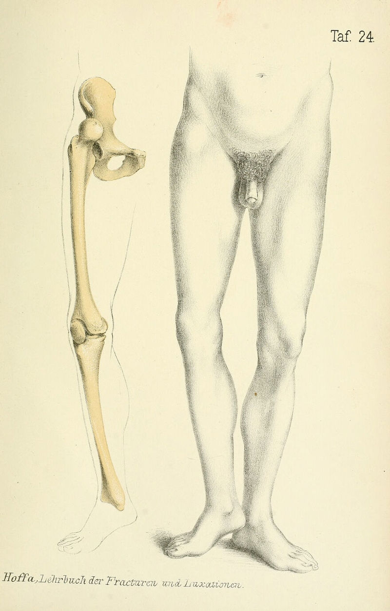 1 ¥ ITo^CL.Li^lir-bjzcTi ierTroLctTCLTtiv miäy Li 'ajXoilioncit.