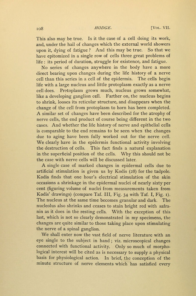 This also may be true. Is it the case of a cell doing its work, and, under the hail of changes which the external world showers upon it, dying of fatigue t And this may be true. So that we have epitomized in a single row of cells three great problems of life : its period of duration, struggle for existence, and fatigue. No series of changes anywhere in the body have a more direct bearing upon changes during the life history of a nerve cell than this series in a cell of the epidermis. The cells begin life with a large nucleus and little protoplasm exactly as a nerve cell does. Protoplasm grows much, nucleus grows somewhat, like a developing ganglion cell. Farther on, the nucleus begins to shrink, looses its reticular structure, and disappears when the change of the cell from protoplasm to horn has been completed, A similar set of changes have been described for the atrophy of nerve cells, the end product of course being different in the two cases. And whether the life history of nerve and epithelial cells is comparable to the end remains to be seen when the changes due to aging have been fully worked out for the nerve cell. We clearly have in the epidermis functional activity involving the destruction of cells. This fact finds a natural explanation in the superficial position of the cells. Why this should not be the case with nerve cells will be discussed later. A single case of marked changes in epidermal cells due to artificial stimulation is given us by Kodis (28) for the tadpole. Kodis finds that one hour's electrical stimulation of the skin occasions a shrinkage in the epidermal nuclei of nearly sixty per cent (figuring volume of nuclei from measurements taken from Kodis' drawings) (compare Taf. Ill, Fig. 34 with Taf. I, Fig. i). The nucleus at the same time becomes granular and dark. The nucleolus also shrinks and ceases to stain bright red with safra- nin as it does in the resting cells. With the exception of this last, which is not so clearly demonstrated in my specimens, the changes are quite similar to those taking place upon stimulating the nerve of a spinal ganglion. We shall enter now the vast field of nerve literature with an eye single to the subject in hand ; viz. microscopical changes connected with functional activity. Only so much of morpho- logical interest will be cited as is necessary to supply a physical basis for physiological action. In brief, the conception of the minute structure of nerve elements which has satisfied every