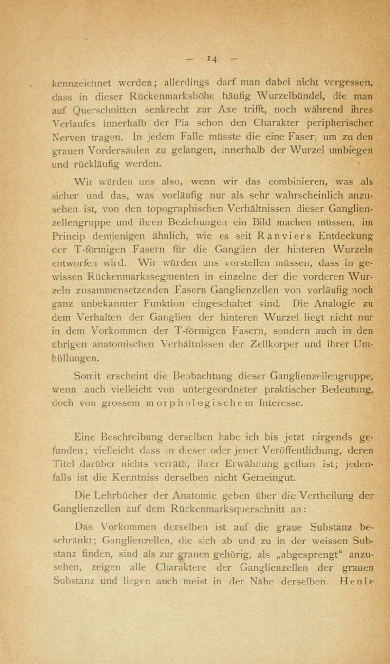 kennzeichnet werden; allerdings darf man dabei nicht vergessen, dass in dieser Rückenmarkshöhe häufig Wurzelbündel, die man auf Querschnitten senkrecht zur Axe trifft, noch während ihres Verlaufes innerhalb der Pia schon den Charakter peripherischer Nerven tragen. In jedem Falle müsste die eine Faser, um zu den grauen Vordersäulen zu gelangen, innerhalb der Wurzel umbiegen und rückläufig werden. Wir würden uns also, wenn wir das combinieren, was als sicher und das, was vorläufig nur als sehr wahrscheinlich anzu- sehen ist, von den topographischen Verhältnissen dieser Ganglien- zellengruppe und ihren Beziehungen ein Bild machen müssen, im Princip demjenigen ähnlich, wie es seit R an vi er s Entdeckung der T-förmigen Fasern für die Ganglien der hinteren Wurzeln entworfen wird. Wir würden uns vorstellen müssen, dass in ge- wissen Rückenmarkssegmenten in einzelne der die vorderen Wur- zeln zusammensetzenden Fasern Ganglienzellen von vorläufig noch ganz unbekannter Funktion eingeschaltet sind. Die Analogie zu dem Verhalten der Ganglien der hinteren Wurzel liegt nicht nur in dem Vorkommen der T-förmigen Fasern, sondern auch in den übrigen anatomischen Verhältnissen der Zellkörper und ihrer Um- hüllungen. Somit erscheint die Beobachtung dieser Ganglienzellengruppe, wenn auch vielleicht von untergeordneter praktischer Bedeutung, doch von grossem morphologischem Interesse. Eine Beschreibung derselben habe ich bis jetzt nirgends ge- funden ; vielleicht dass in dieser oder jener Veröffentlichung, deren Titel darüber nichts verräth, ihrer Erwähnung gethan ist; jeden- falls ist die Kenntniss derselben nicht Gemeingut. Die Lehrbücher der Anatomie geben über die Vertheilung der Ganglienzellen auf dem Rückenmarksquerschnitt an : Das Vorkommen derselben ist auf die graue Substanz be- schränkt; Ganglienzellen, die sich ab und zu in der weissen Sub- stanz finden, sind als zur grauen gehörig, als „abgesprengt anzu- sehen, zeigen alle Charaktere der Ganglienzellen der grauen Substanz und liegen auch meist in der Nähe derselben. Henle