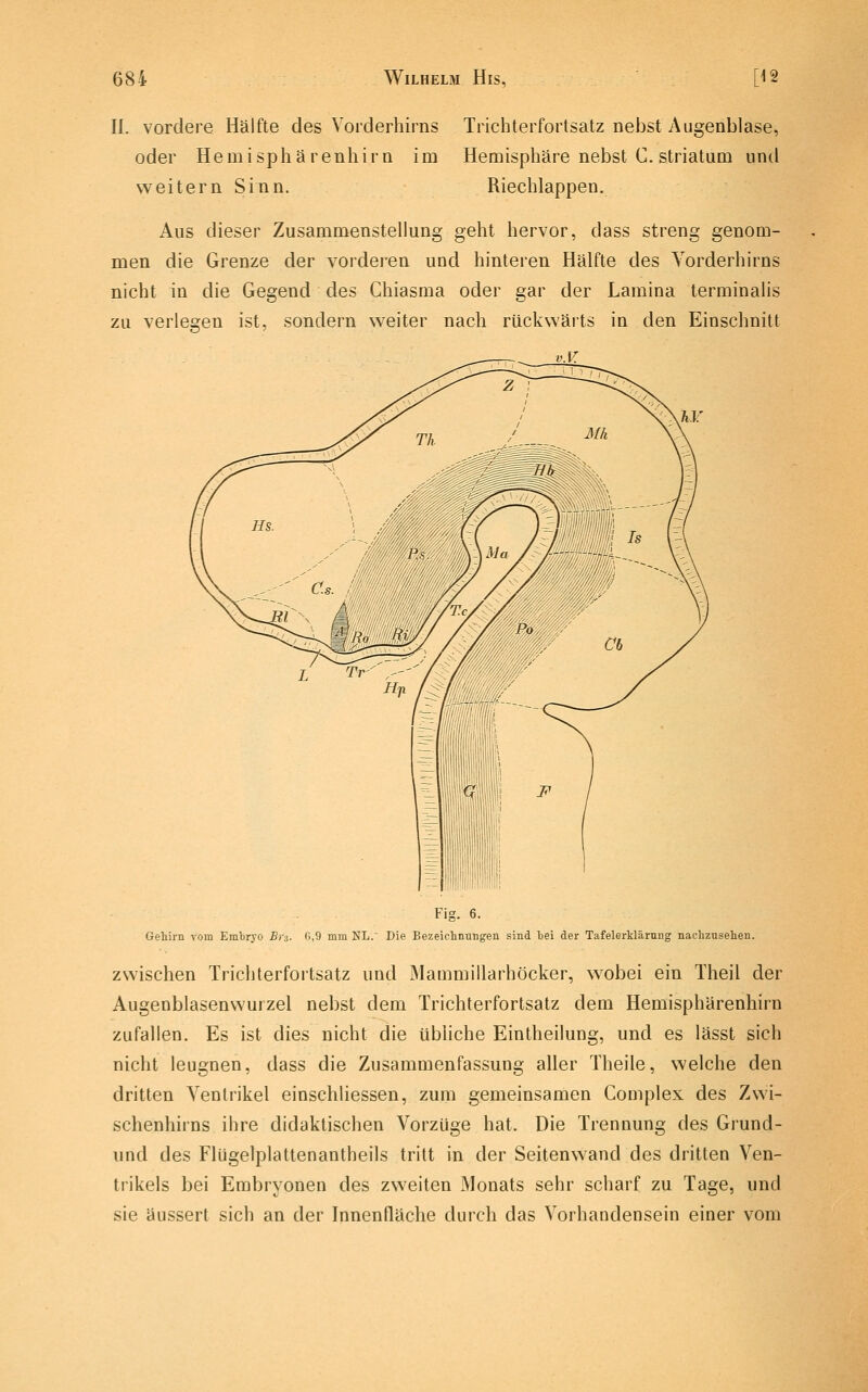 II. vordere Hälfte des Vorderhirns Trichterfortsatz nebst Augenblase, oder Hemisphä reuhirn im Hemisphäre nebst C. striatum und weitern Sinn. Riechlappen. Aus dieser Zusammenstellung geht hervor, dass streng genom- men die Grenze der vorderen und hinteren Hälfte des Yorderhirns nicht in die Gegend des Chiasma oder gar der Lamina terminalis zu verlegen ist, sondern weiter nach rückwärts in den Einschnitt Fig. 6. Gehirn vom Emtryo Biz- 0,9 mm NL. Die Bezeiclinungeii sind bei der Tafelerklärnng nachzusehen. zwischen Trichterfortsatz und Mammiilarhöcker, wobei ein Theil der Augenblasenwurzel nebst dem Trichterfortsatz dem Hemisphärenhirn zufallen. Es ist dies nicht die übliche Eintheilung, und es lässt sich nicht leugnen, dass die Zusammenfassung aller Theile, welche den dritten Ventrikel einschliessen, zum gemeinsamen Coniplex des Zwi- schenhirns ihre didaktischen Vorzüge hat. Die Trennung des Grund- und des Flügelplattenantheils tritt in der Seitenwand des dritten Ven- trikels bei Embryonen des zweiten Monats sehr scharf zu Tage, und sie äussert sich an der Innenfläche durch das Vorhandensein einer vom