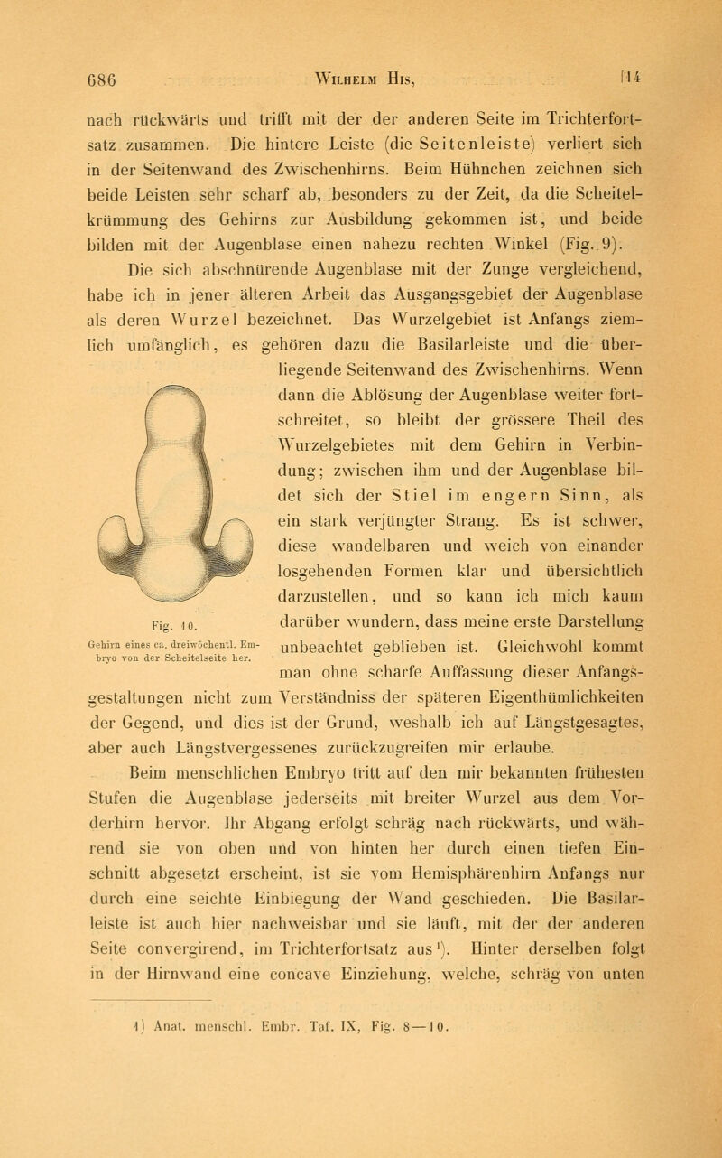 nach rückwärts und trifft mit der der anderen Seite im Trichterfort- satz zusammen. Die hintere Leiste (die Seitenleiste) verliert sich in der Seitenwand des Zwischenhirns. Beim Hühnchen zeichnen sich beide Leisten sehr scharf ab, besonders zu der Zeit, da die Scheitel- krümmung des Gehirns zur Ausbildung gekommen ist, und beide bilden mit der Augenblase einen nahezu rechten Winkel (Fig..9). Die sich abschnürende Augenblase mit der Zunge vergleichend, habe ich in jener älteren Arbeit das Ausgangsgebiet der Augenblase als deren Wurzel bezeichnet. Das Wurzelgebiet ist Anfangs ziem- lich umfänglich, es gehören dazu die Basilarleiste und tue über- liegende Seitenwand des Zwischenhirns. Wenn dann die Ablösung der Augenblase weiter fort- schreitet, so bleibt der grössere Theil des Wurzelgebietes mit dem Gehirn in Verbin- dung; zwischen ihm und der Augenblase bil- det sich der Stiel im engern Sinn, als ein stark verjüngter Strang. Es ist schwer, diese wandelbaren und weich von einander losgehenden Formen klar und übersichtlich darzustellen, und so kann ich mich kaum darüber wundern, dass meine erste Darstellung unbeachtet geblieben ist. Gleichwohl kommt man ohne scharfe Auffassung dieser Anfangs- gestaltungen nicht zum Yerständniss der späteren Eigenthümlichkeiten der Gegend, und dies ist der Grund, weshalb ich auf Längstgesagtes, aber auch Längstvergessenes zurückzugreifen mir erlaube. Beim menschhchen Embryo tritt auf den mir bekannten frühesten Stufen die Augenblase jederseits mit breiter Wurzel aus dem Vor- derhirn hervor. Ihr Abgang erfolgt schräg nach rückwärts, und wäh- rend sie von oben und von hinten her durch einen tiefen Ein- schnitt abgesetzt erscheint, ist sie vom flemisphärenhirn Anfangs nur durch eine seichte Einbiegung der Wand geschieden. Die Basilar- leiste ist auch hier nachweisbar und sie läuft, mit der der anderen Seite convergirend, im Trichterfortsatz aus'). Hinter derselben folgt in der Hirnwand eine concave Einziehung, welche, schräg von unten Fig. 10. Gehirn eines ca. dreiTvöclientl. Em- bryo von der Scheitelseite her. 1) Anat. menschl. Eiiibr. Taf. IX, Fig. 8—iO.