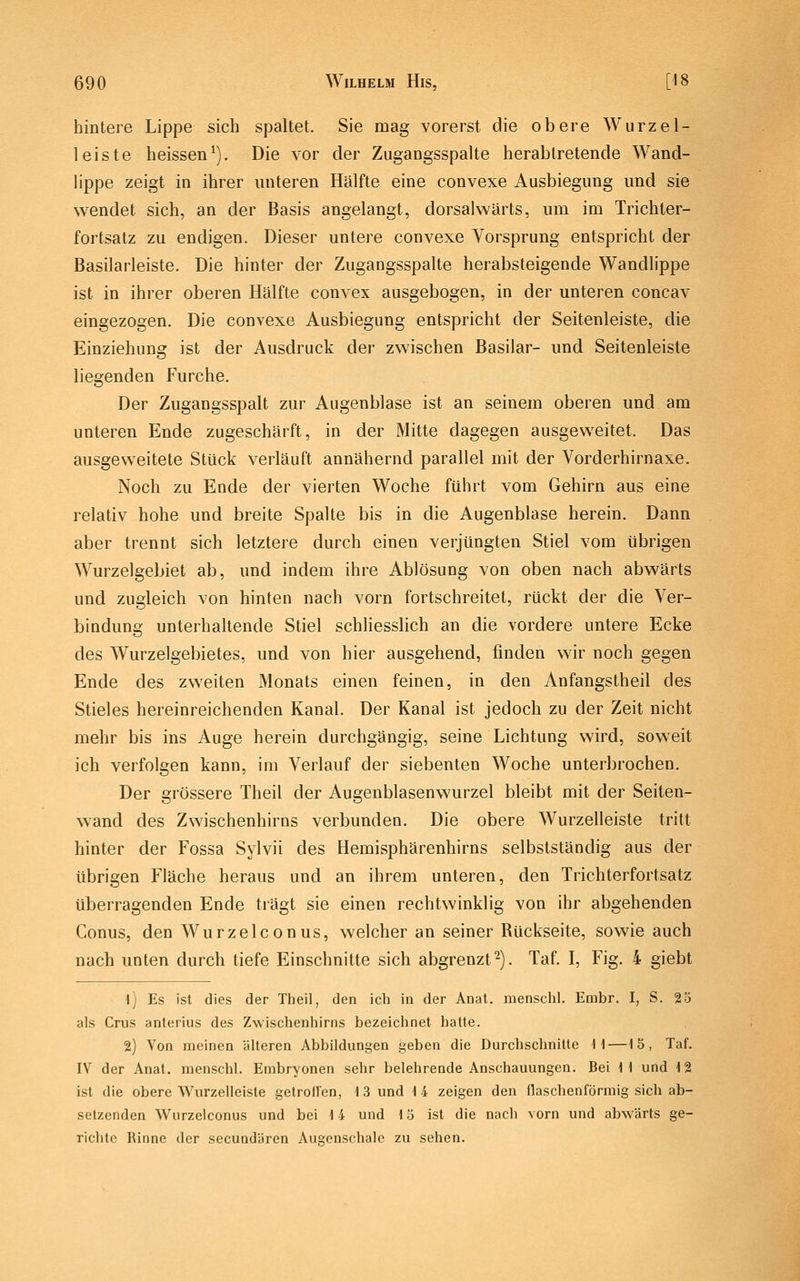 hintere Lippe sich spaltet. Sie mag vorerst die obere Wurzel- leiste heissen^). Die vor der Zugangsspalte herabtretende Wand- hppe zeigt in ihrer unteren Hälfte eine convexe Ausbiegung und sie w^endet sich, an der Basis angelangt, dorsalwärts, um im Trichter- fortsatz zu endigen. Dieser untere convexe Vorsprung entspricht der Basilarleiste. Die hinter der Zugangsspalte herabsteigende Wandlippe ist in ihrer oberen Hälfte convex ausgebogen, in der unteren concav eingezogen. Die convexe Ausbiegung entspricht der Seitenleiste, die Einziehung ist der Ausdruck der zwischen Basilar- und Seitenleiste liegenden Furche. Der Zugangsspalt zur Augenblase ist an seinem oberen und am unteren Ende zugeschärft, in der Mitte dagegen ausgeweitet. Das ausgeweitete Stück verläuft annähernd parallel mit der Vorderhirnaxe. Noch zu Ende der vierten Woche führt vom Gehirn aus eine relativ hohe und breite Spalte bis in die Augenblase herein. Dann aber trennt sich letztere durch einen verjüngten Stiel vom übrigen Wurzelgebiet ab, und indem ihre Ablösung von oben nach abwärts und zugleich von hinten nach vorn fortschreitet, rückt der die Ver- bindung unterhallende Stiel schliesslich an die vordere untere Ecke des Wurzelgebietes, und von hier ausgehend, finden wir noch gegen Ende des zweiten Monats einen feinen, in den Anfangstheil des Stieles hereinreichenden Kanal. Der Kanal ist jedoch zu der Zeit nicht mehr bis ins Auge herein durchgängig, seine Lichtung wird, soweit ich verfolgen kann, im Verlauf der siebenten Woche unterbrochen. Der grössere Theil der Augenblasenwurzel bleibt mit der Seiten- wand des Zwischenhirns verbunden. Die obere Wurzelleiste tritt hinter der Fossa Sylvii des Hemisphärenhirns selbstständig aus der übrigen Fläche heraus und an ihrem unteren, den Trichterfortsatz überragenden Ende trägt sie einen rechtwinklig von ihr abgehenden Conus, den Wurzelconus, welcher an seiner Rückseite, sowie auch nach unten durch tiefe Einschnitte sich abgrenzt^). Taf. I, Fig. 4 giebt 1) Es ist dies der Theil, den ich in der Anat. menschl. Embr. I, S. 25 als Crus anterius des Zwischenhirns bezeichnet hatte. 2) Von meinen älteren Abbildungen geben die Durchschnitte H—15, Taf. IV der Anat. menschl. Embryonen sehr belehrende Anschauungen. Bei \\ und i% ist die obere Wurzelleiste getroll'en, 1 3 und \ 4 zeigen den flaschenförmig sich ab- setzenden Wurzelconus und bei 14 und 15 ist die nach vorn und abwärts ge- richtc Rinne der secundären Augenschalc zu sehen.