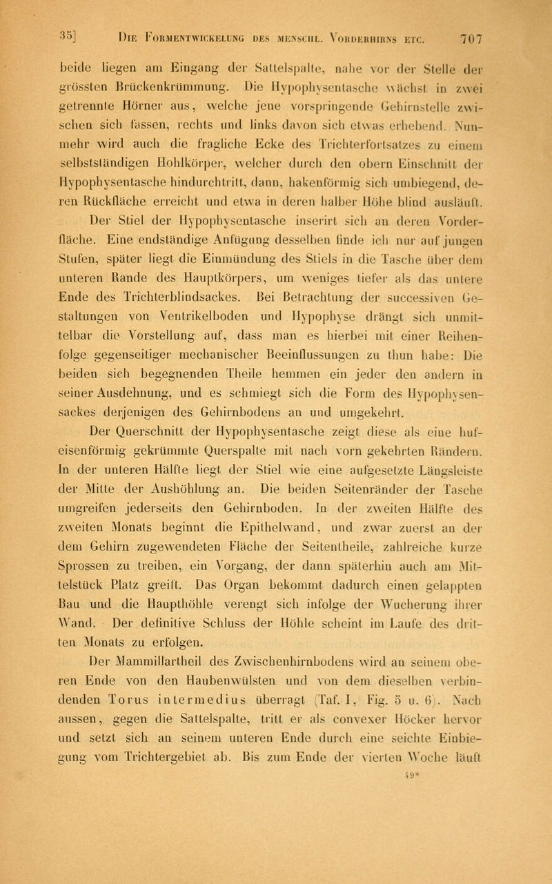 beide liegen am Eingang der Satlelspallu, nalie vor der Stelle der gmssten Brückenkrümmung. Die Hypophysentasche wäclist in zwei getrennte Hörner aus, welche jene vorspringende Geliirnstelle zwi- schen sich fassen, rechts und links davon sich etwas erhebend. Nun- mehr wird auch die fragliche Ecke des Trichterfortsalzes zu einem selbstsländigen Hohlkörper, welcher durch den obern Einschnitt der Hypophysentasche hindurchtritt, dann, hakenförmig sich umbiegend, de- ren Rücktläche erreicht und etwa in deren halber Höhe blind ausläuft. Der Stiel der Hypophysentasche inserirt sich an deren V^order- fläche. Eine endständige Anfügung desselben finde ich nur auf jungen Stufen, später liegt die Einmündung des Stiels in die Tasche über dem unteren Rande des Hauplkörpers, um weniges tiefer als das untere Ende des Trichterblindsackes. Bei Betrachtung der successiven Ge- staltungen von Ventrikelboden und Hypophyse drängt sich unmit- telbar die A^orstellung auf, dass man es hierbei mit einer Reihen- folge gegenseitiger mechanischer Beeinflussungen zu thun habe: Die beiden sich begegnenden Theile hemmen ein jeder den andern in seiner Ausdehnung, und es schmiegt sich die Form des Hypophysen- sackes derjenigen des Gehirnbodens an und umgekehrt. Der Querschnitt der Hypophysentasche zeigt diese als eine huf- eisenförmig gekrümmte Querspalte mit nach vorn gekehrten Rändern. In der unteren Hälfte liegt der Stiel wie eine aufgesetzte Längsleiste der Mitte der Aushöhlung an. Die beiden Seitenränder der Tasche umgreifen jederseits den Gehirnboden. In der zweiten Hälfte des zweiten Monats beginnt die Epithelwand, und zw^ar zuerst an der dem Gehirn zugewendeten Fläche der Seitentheile, zahlreiche kurze Sprossen zu treiben, ein Vorgang, der dann späterhin auch am 3Iit- telstück Platz greift. Das Organ bekommt dadurch einen gelappten Bau und die Haupthöhle verengt sich infolge der Wucherung ihrer Wand. Der definitive Schluss der Höhle scheint im Laufe des drit- ten Monats zu erfolgen. Der Mammillartheil des Zwischenhirnbodens wird an seinem obe- ren Ende von den Haubenwülsten und von dem dieselben verbin- denden Torus intermedius überragt (Taf. I, Fig. 5 u. 6). Nach aussen, gegen die Sattelspalte, tritt er als convexer Höcker hervor und setzt sich an seinem unteren Ende durch eine seichte Einbie- gung vom Trichtergebiet ab. Bis zum Ende der vierten ^^'oche läuft '.9*