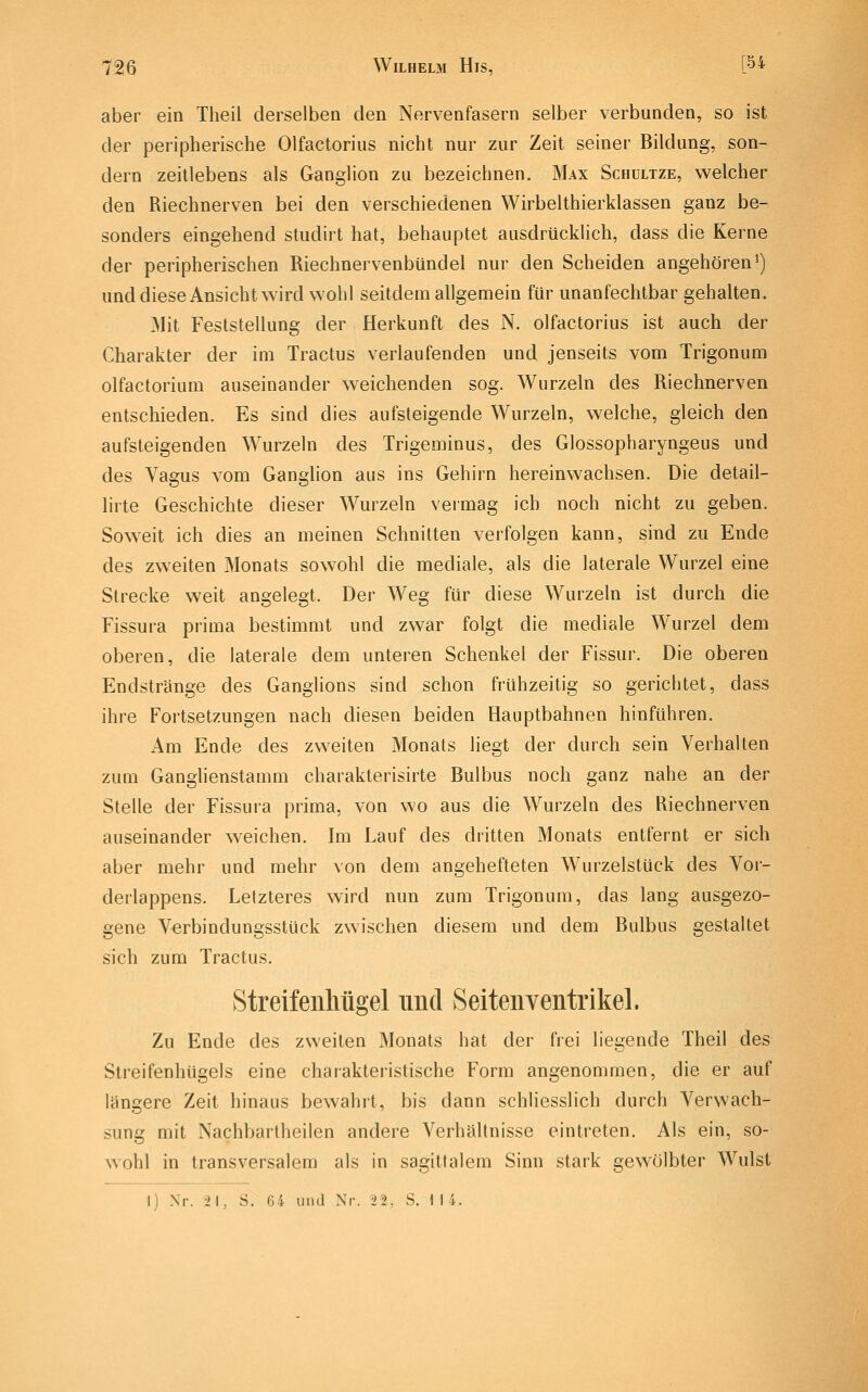 aber ein Theil derselben den Nervenfasern selber verbunden, so ist der peripherische Olfactorius nicht nur zur Zeit seiner Bildung, son- dern zeitlebens als Ganglion zu bezeichnen. Max Schultze, welcher den Riechnerven bei den verschiedenen Wirbelthierklassen ganz be- sonders eingehend studirt hat, behauptet ausdrücklich, dass die Kerne der peripherischen Riechnervenbündel nur den Scheiden angehöreni) und diese Ansicht wird wohl seitdem allgemein für unanfechtbar gehalten. Mit Feststellung der Herkunft des N. olfactorius ist auch der Charakter der im Tractus verlaufenden und jenseits vom Trigonum olfactorium auseinander weichenden sog. Wurzeln des Riechnerven entschieden. Es sind dies aufsteigende Wurzeln, welche, gleich den aufsteigenden Wurzeln des Trigeminus, des Glossopharyngeus und des Vagus vom Ganglion aus ins Gehirn hereinwachsen. Die detail- lirte Geschichte dieser Wurzeln vermag ich noch nicht zu geben. Soweit ich dies an meinen Schnitten verfolgen kann, sind zu Ende des zweiten Monats sowohl die mediale, als die laterale Wurzel eine Strecke weit angelegt. Der Weg für diese Wurzeln ist durch die Fissura prima bestimmt und zwar folgt die mediale Wurzel dem oberen, die laterale dem unteren Schenkel der Fissur. Die oberen Endstränge des Ganglions sind schon frühzeitig so gerichtet, dass ihre Fortsetzungen nach diesen beiden Hauptbahnen hinführen. Am Ende des zweiten Monats liegt der durch sein Verhalten zum Ganghenstamm charakterisirte Bulbus noch ganz nahe an der Stelle der Fissura prima, von wo aus die Wurzeln des Riechnerven auseinander w^eichen. Im Lauf des dritten Monats entfernt er sich aber mehr und mehr von dem angehefteten Wurzelstück des Vor- derlappens. Letzteres wird nun zum Trigonum, das lang ausgezo- gene Verbindungsstück zwischen diesem und dem Bulbus gestaltet sich zum Tractus, StreifeuMgel und Seitenventrikel. Zu Ende des zweiten Monats hat der frei liegende Theil des Streifenhügels eine charakteristische Form angenommen, die er auf längere Zeit hinaus bewahrt, bis dann schliesslich durch Verwach- sung mit Nachbarlheilen andere Verhältnisse eintreten. Als ein, so- wohl in transversalem als in sagittalem Sinn stark gewölbter Wulst I) Nr. 2 1, S. 64 und Nr. 22, S. 1 14.