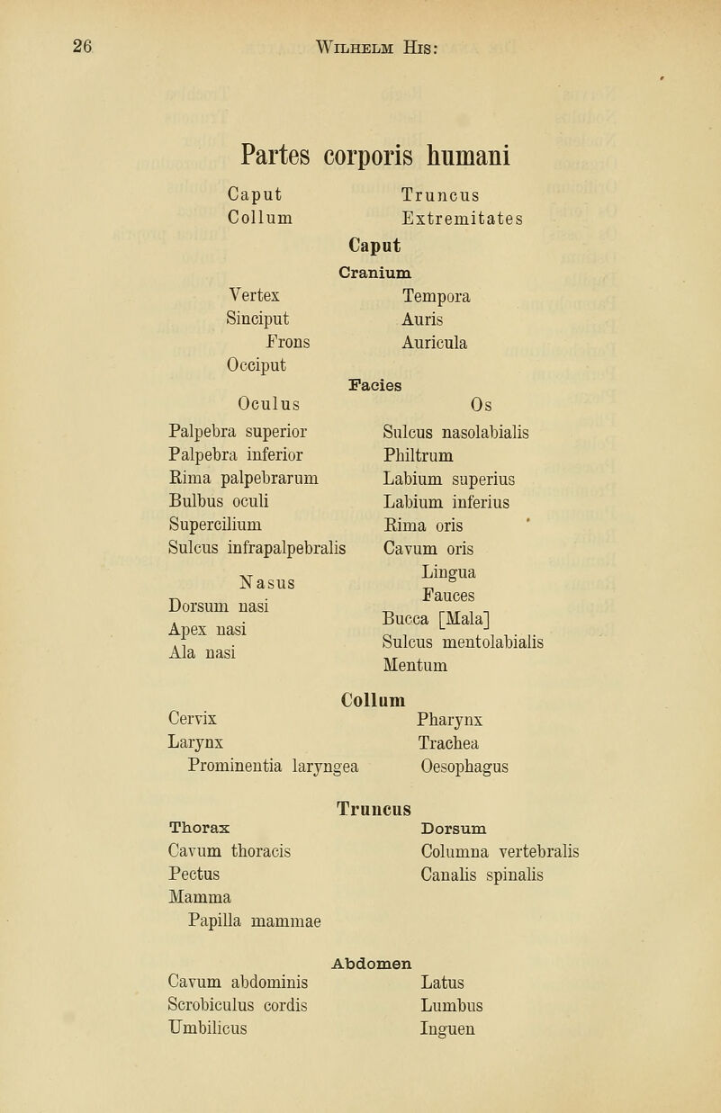 Partes corporis humani Caput Truncus Collum Extremitates Caput Cranium Vertex Tempora Sinciput Auris Frons Auricula Occiput Facies Oculus Os Palpebra superior Sulcus nasolabialis Palpebra inferior Philtrum Rima palpebrarum Labium superius Bulbus oculi Labium inferius Supercilium Eima oris Sulcus infrapalpebralis Cavum oris Nasus Dorsum nasi Apex nasi Ala nasi Lingua Fauces Bucca [Mala] Sulcus mentolabiaiis Mentum Collum Cervix Pharynx Larjnx Trachea Prominentia laryngea Oesophagus Truncus Thorax Dorsum Cavum thoracis Columna vertebralis Pectus Canalis spinahs Mamma Papilla mammae Abdomen Cavum abdominis Latus Scrobiculus cordis Lumbus TJmbilicus Inguen