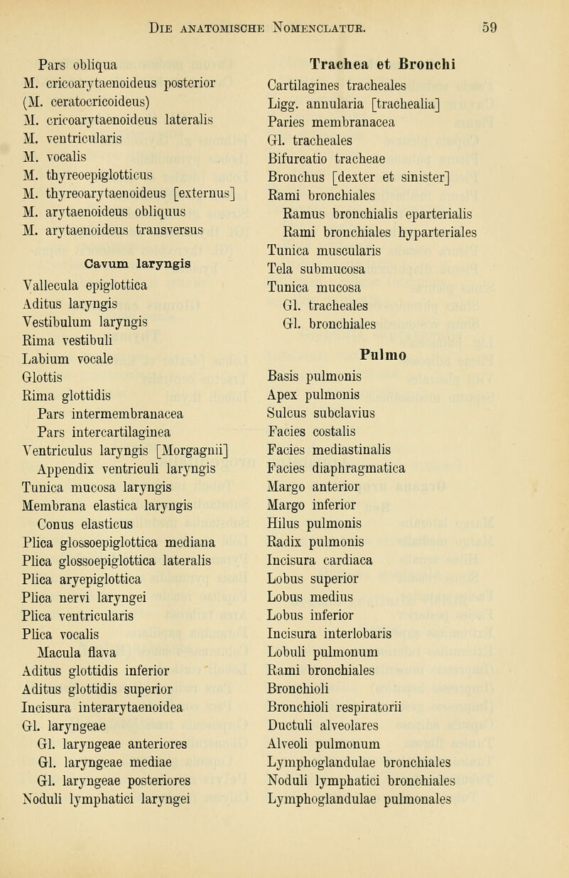 Pars obliqua M. cricoarytaenoideus posterior (M. ceratocricoideus) M. cricoarytaenoideus lateralis M. ventricularis M. vocalis M. thyreoepiglotticus M. thyreoarytaenoideus [externus] M. arytaenoideus obliquus M. arytaenoideus transversus Cavum laryngis Vallecula epiglottica xiditus laryngis Vestibulum laryngis Rima vestibuli Labium vocale Glottis Rima glottidis Pars intermembranacea Pars intercartilaginea Ventriculus laryngis [Morgaguii] Appendix ventriculi laryngis Tunica mucosa laryngis Membrana elastica laryngis Conus elasticus Plica glossoepiglottica mediana Plica glossoepiglottica lateralis Plica aryepiglottica Plica nervi laryngei Plica ventricularis Plica vocalis Macula flava Aditus glottidis inferior Aditus glottidis superior Incisura interarytaenoidea Gl. laryngeae Gl. laryngeae anteriores Gl. laryngeae mediae Gl. laryngeae posteriores Noduli lymphatici laryngei Trachea et Bronchi Cartilagines tracheales Ligg. annularia [trachealia] Paries membranacea Gl. tracheales ßifurcatio tracheae Bronchus [dexter et sinister] Rami bronchiales Ramus bronchialis eparterialis Rami bronchiales hyparteriales Tunica muscularis Tela submucosa Tunica mucosa Gl. tracheales Gl. bronchiales Pulmo Basis pulmonis Apex pulmonis Sulcus subclavius Facies costalis Facies mediastinalis Facies diaphragmatica Margo anterior Margo inferior Hilus pulmonis Radix pulmonis Incisura cardiaca Lobus superior Lobus medius Lobus inferior Incisura interlobaris Lobuli pulmonum Rami bronchiales Bronchioli Bronchioli respiratorii Ductuli alveolares Alveoli pulmonum Lymphoglandulae bronchiales Noduli lymphatici bronchiales Lymphoglandulae pulmonales