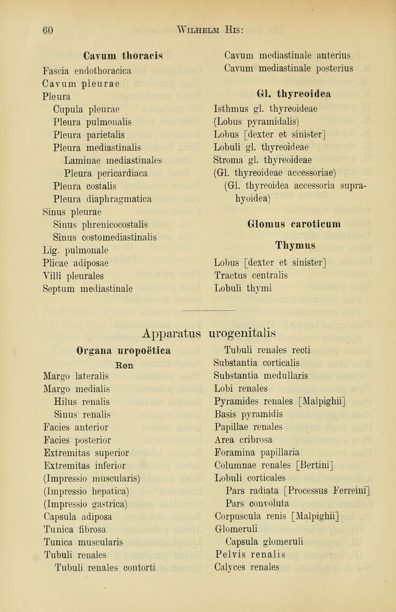 Cavum thoracis Fascia endothoracica Cavum pieurae Pleura Cupula pieurae Pleura pulmonalis Pleura parietalis Pleura mediastinalis Laminae mediastinales Pleura pericardiaca Pleura costalis Pleura diaphragmatica Sinus pieurae Sinus phrenicocostalis Sinus costomediastinalis Lig. pulmonale Plicae adiposae Villi pleurales Septum mediastinale Cavum mediastinale anterius Cavum mediastinale posterius Gl. thyreoidea Isthmus gl. thyreoideae (Lobus pyramidalis) Lobus [dexter et sinister] Lobuli gl. thyreoideae Stroma gl. thyreoideae (Gl. thyreoideae accessoriae) (Gl. thyreoidea accessoria supra- hyoidea) Grlomus caroticum Thymus Lobus [dexter et sinister] Tractus centralis Lobuli thymi Apparatus Organa uropoetica Ren Marge lateralis Marge medialis Hilus renalis Sinus renalis Facies anterior Facies posterior Extremitas superior Extremitas inferior (Impressio muscularis) (Impressio hepatica) (Impressio gastrica) Capsula adiposa Tunica flbrosa Tunica muscularis Tubuli renales Tubuli renales contorti urogenitalis Tubuli renales recti Substantia corticalis Substantia medullaris Lobi renales Pyramides renales [Malpighii] Basis pyramidis Papulae renales Area cribrosa Foramina papillaria Columnae renales [ßertini] Lobuli corticales Pars radiata [Processus Ferreini] Pars convoluta Corpuscula renis [Malpighii] Glomeruli Capsula glomeruli Pelvis renalis Calyces renales