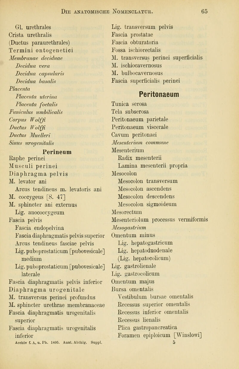 Gl. urethrales Crista urethralis (Ductus paraurethrales) Termini ontogenetici Membranae deciduae Decidua vera Decidua capsularis Decidua hasalis Placenta Placenta uterina Placenta foetalis Funicidus umbilicalis Corpus Wolfß Ductus Wolffi Ductus Muelleri Sinus urogenitalis Perineum Raphe perinei Musculi perinei Diaphragma pelvis M. levator ani Arcus tendineus m. levatoris ani M. coccygeus [S. 47] M. sphincter ani externus Lig. anococcygeum Fascia pelvis Fascia endopelvina Fascia diaphragmatis pelvis superior Arcus tendineus fasciae pelvis Lig. puboprostaticum [pubovesicale] medium Lig. puboprostaticum [pubovesicale] laterale Fascia diaphragmatis pelvis inferior Diaphragma urogenitale M. transversus perinei profundus M. sphincter urethrae membranaceae Fascia diaphragmatis urogenitalis superior Fascia diaphragmatis urogenitalis inferior Archiv f. A. u. Pb. 1895. Anat. Abthlg. Suppl. Lig. transve]-sum pelvis Fascia prostatae Fascia obturatoria Fossa ischiorectalis M. transversus perinei superficialis M. ischiocavernosus M. bulbocavernosus Fascia superficialis perinei Peritonaeum Tunica serosa Tela subserosa Peritonaeum parietale Peritonaeum viscerale Cavum peritonaei Mesenterium commune Mesenterium ßadix mesenterii Lamina mesenterii propria Mesocolon Mesocolon transversum Mesocolon ascendens Mesocolon descendens Mesocolon sigmoideum Mesorectum Mesenteriolum processus vermiformis Mesogastrium Omentum minus Lig. hepatogastricum Lig. hepatoduodenale (Lig. hepatocohcum) Lig. gastrolienale Lig. gastrocohcum Omentum majiis Bursa omentalis Vestibulum bursae omentahs Recessus superior omentalis Recessus inferior omentalis Recessus lienalis Plica gastropancreatica Foramen epiploicum [Winslowi] 5