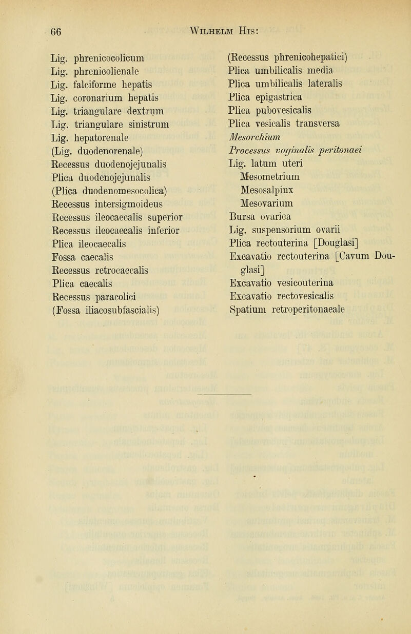 Lig. phrenicocolicum Lig. phrenicolienale Lig. falciforme hepatis Lig. coronarium hepatis Lig. trianguläre dextrum Lig. trianguläre sinistrum Lig. hepatorenale (Lig. duodenorenale) ßecessus duodenojejunalis Plica duodenojejunalis (Plica duodenomesocolica) Recessus intersigmoideus Recessus ileocaecalis superior Recessus ileocaecalis inferior Plica ileocaecalis Fossa caecalis Recessus retrocaecalis Plica caecalis Recessus paracolici (Fossa iliacosubfascialis) (Recessus phrenicohepatici) Plica umbilicalis media Plica umbilicalis lateralis Plica epigastrica Plica pubovesicalis Plica vesicalis transversa Mesorchium Processus vaginalis peritonaei Lig. latum uteri Mesometrium Mesosalpinx Mesovarium Bursa ovarica Lig. Suspensorium ovarii Plica rectouterina [Douglas!] Excavatio rectouterina [Cavum Dou- glas!] Excavatio vesicouterina Excavatio rectovesicalis Spatium retroperitonaeale