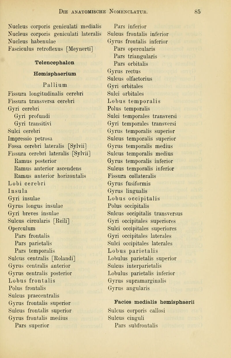 Nucleus corporis geniculati medialis Nucleus corporis geniculati lateralis Nucleus habenulae Fasciculus retroflexus [Meynerti] Telencephalon Hemisphaerium Pallium Fissura longitudinalis cerebri Fissura transversa cerebri Gyri cerebri Gyri profuudi Gyri transitivi Sulci cerebri Impressio petrosa Fossa cerebri lateralis [Sylvii] Fissura cerebri lateralis [Sylvii] Ramus posterior Ramus anterior ascendens Ramus anterior horizontalis Lobi cerebri Insula Gyri insulae Gyrus longus insulae Gyri breves insulae Sulcus circularis [Reili] Operculum Pars frontalis Pars parietalis Pars temporalis Sulcus centralis [Rolandi] Gyrus centralis anterior Gyrus centralis posterior Lobus frontalis Polus frontalis Sulcus praecentralis Gyrus frontalis superior Sulcus frontalis superior Gyrus frontalis medius Pars superior Pars inferior Sulcus frontalis inferior Gyrus frontalis inferior Pars opercularis Pars triangularis Pars Orbitalis Gyrus rectus Sulcus olfactorius Gyri orbitales Sulci orbitales Lobus temporalis Polus temporalis Sulci temporales transversi Gyri temporales transversi Gyrus temporalis superior Sulcus temporalis superior Gyrus temporalis medius Sulcus temporalis medius Gyrus temporalis inferior Sulcus temporalis inferior Fissura collateralis Gyrus fusiformis Gyrus lingualis Lobus occipitalis Polus occipitalis Sulcus occipitalis transversus Gyri occipitales superiores Sulci occipitales superiores Gyri occipitales laterales Sulci occipitales laterales Lobus parietalis Lobulus parietalis superior Sulcus interparietalis Lobulus parietalis inferior Gyrus supramarginalis Gyrus angularis Facies medialis hemisphaerii Sulcus corporis callosi Sulcus cinguli Pars subfrontalis
