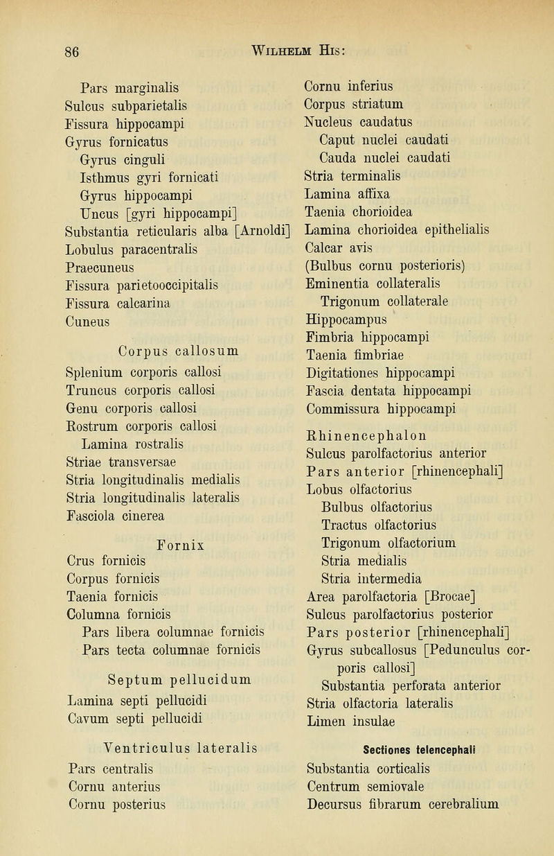 Pars marginalis Sulcus subparietalis Fissura hippocampi Gyrus fornicatus Gyrus cinguli Isthmus gyri fornicati Gyrus hippocampi Uncus [gyri hippocampi] Substantia reticularis alba [Arnoldi] Lobulus paracentrahs Praecuneus Fissura parietooccipitalis Fissura calcarina Cuneus Corpus callosum Splenium corporis callosi Truncus corporis callosi Genu corporis callosi Rostrum corporis callosi Lamina rostralis Striae transversae Stria longitudinalis medialis Stria longitudinalis lateralis Fasciola cinerea Fornix Grus fornicis Corpus fornicis Taenia fornicis Columna fornicis Pars libera columnae fornicis Pars tecta columnae fornicis Septum pellucidum Lamina septi pellucidi Cavum septi pellucidi Ventriculus lateralis Pars centralis Cornu anterius Cornu posterius Cornu inferius Corpus striatum Nucleus caudatus Caput nuclei caudati Cauda nuclei caudati Stria terminalis Lamina affixa Taenia chorioidea Lamina chorioidea epithelialis Calcar avis (Bulbus cornu posterioris) Eminentia collateralis Trigonum collaterale Hippocampus Fimbria hippocampi Taenia fimbriae Digitationes hippocampi Fascia dentata hippocampi Commissura hippocampi Rhinencephalon Sulcus parolfactorius anterior Pars anterior [rhinencephali] Lobus olfactorius Bulbus olfactorius Tractus olfactorius Trigonum olfactorium Stria medialis Stria intermedia Area parolfactoria [Brocae] Sulcus parolfactorius posterior Pars posterior [rhinencephah] Gyrus subcallosus [Pedunculus cor- poris callosi] Substantia perforata anterior Stria olfactoria lateralis Limen insulae Secfiones telencephali Substantia corticalis Centrum semiovale Decursus fibrarum cerebralium