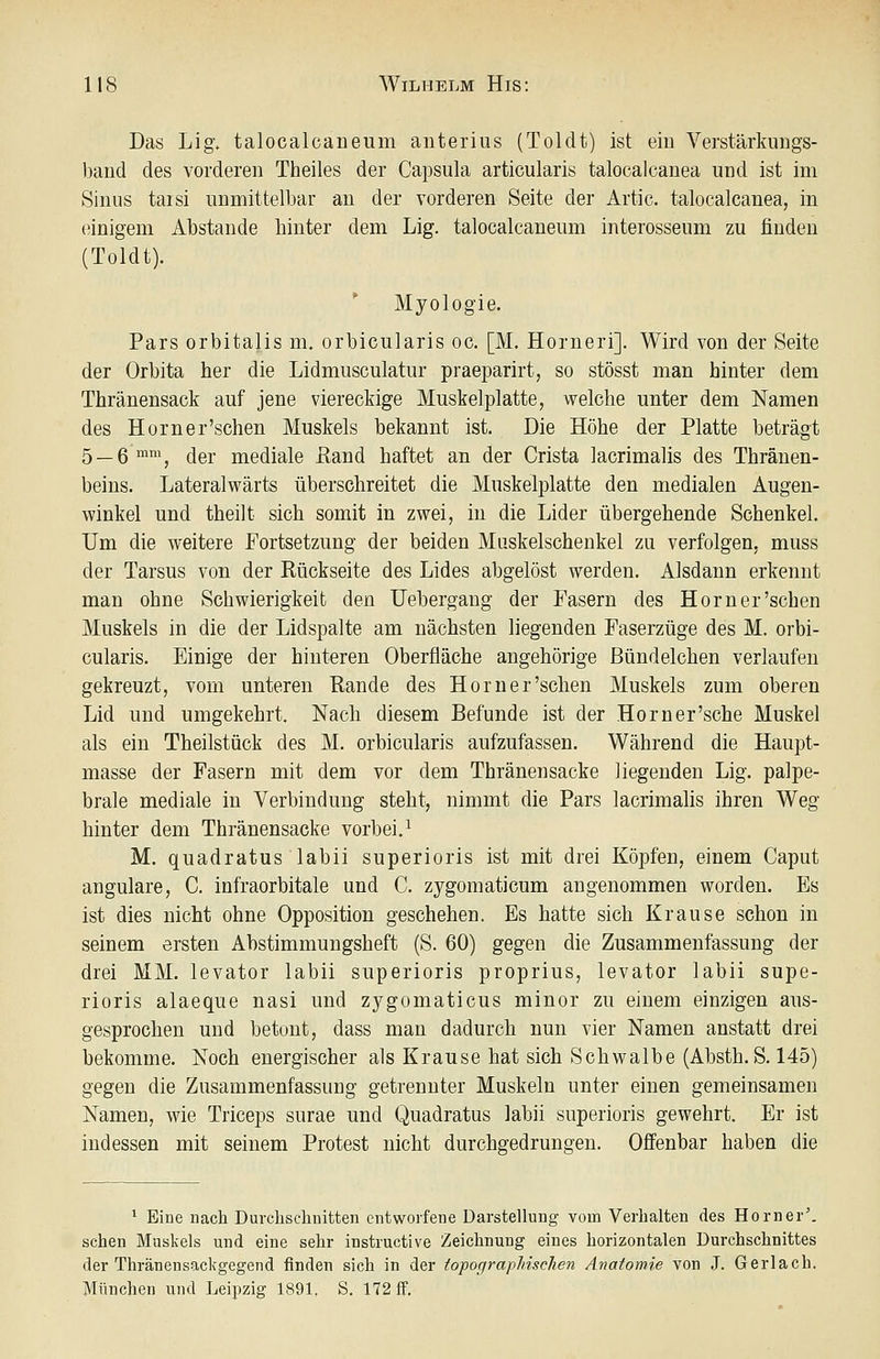 Das Lig. talocalcaneum anterius (Toldt) ist ein Verstärkungs- band des vorderen Theiles der Capsula articularis talocalcanea und ist im Sinus taisi unmittelbar an der vorderen Seite der Artic. talocalcanea, in (;inigem Abstände hinter dem Lig. talocalcaneum interosseum zu finden (Toldt). * Myologie. Pars orbitalis m. orbicularis oc. [M. Horneri]. Wird von der Seite der Orbita her die Lidmusculatur praeparirt, so stösst man hinter dem Thränensack auf jene viereckige Muskelplatte, welche unter dem Namen des Horner'sehen Muskels bekannt ist. Die Höhe der Platte beträgt 5 — 6™™, der mediale Hand haftet an der Crista lacrimalis des Thränen- beins. Lateralwärts überschreitet die Muskelplatte den medialen Augen- winkel und theilt sich somit in zwei, in die Lider übergehende Schenkel. Um die weitere Fortsetzung der beiden Muskelschenkel zu verfolgen, muss der Tarsus von der Rückseite des Lides abgelöst werden. Alsdann erkennt man ohne Schwierigkeit den Uebergang der Fasern des Hörn er'sehen Muskels in die der Lidspalte am nächsten liegenden Faserzüge des M. orbi- cularis. Einige der hinteren Oberfläche angehörige ßündelchen verlaufen gekreuzt, vom unteren Rande des Horner'sehen Muskels zum oberen Lid und umgekehrt. Nach diesem Befunde ist der Hörn er'sehe Muskel als ein Theilstück des M. orbicularis aufzufassen. Während die Haupt- masse der Fasern mit dem vor dem Thränensacke liegenden Lig. palpe- brale mediale in Verbindung steht, nimmt die Pars lacrimalis ihren Weg hinter dem Thränensacke vorbei.^ M. quadratus labii superioris ist mit drei Köpfen, einem Caput angulare, C. infraorbitale und C. zygomaticum angenommen worden. Es ist dies nicht ohne Opposition geschehen. Es hatte sich Krause schon in seinem ersten Abstimmungsheft (S. 60) gegen die Zusammenfassung der drei MM. levator labii superioris proprius, levator labii supe- rioris alaeque nasi und zygomaticus minor zu einem einzigen aus- gesprochen und betont, dass man dadurch nun vier Namen anstatt drei bekomme. Noch energischer als Krause hat sich Schwalbe (Absth.S. 145) gegen die Zusammenfassung getrennter Muskeln unter einen gemeinsamen Namen, wie Triceps surae und Quadratus labii superioris gewehrt. Er ist indessen mit seinem Protest nicht durchgedrungen. Offenbar haben die 1 Eine nach Durclischuitten entworfene Darstellung vom Verbalten des Homer', scheu Maskeis und eine sehr instructive Zeichnung eines horizontalen Durchschnittes der Thränensackgegend finden sich in der topographischen Anatomie von J. Gerlach. München und Leipzig 1891. S. 172 ff.