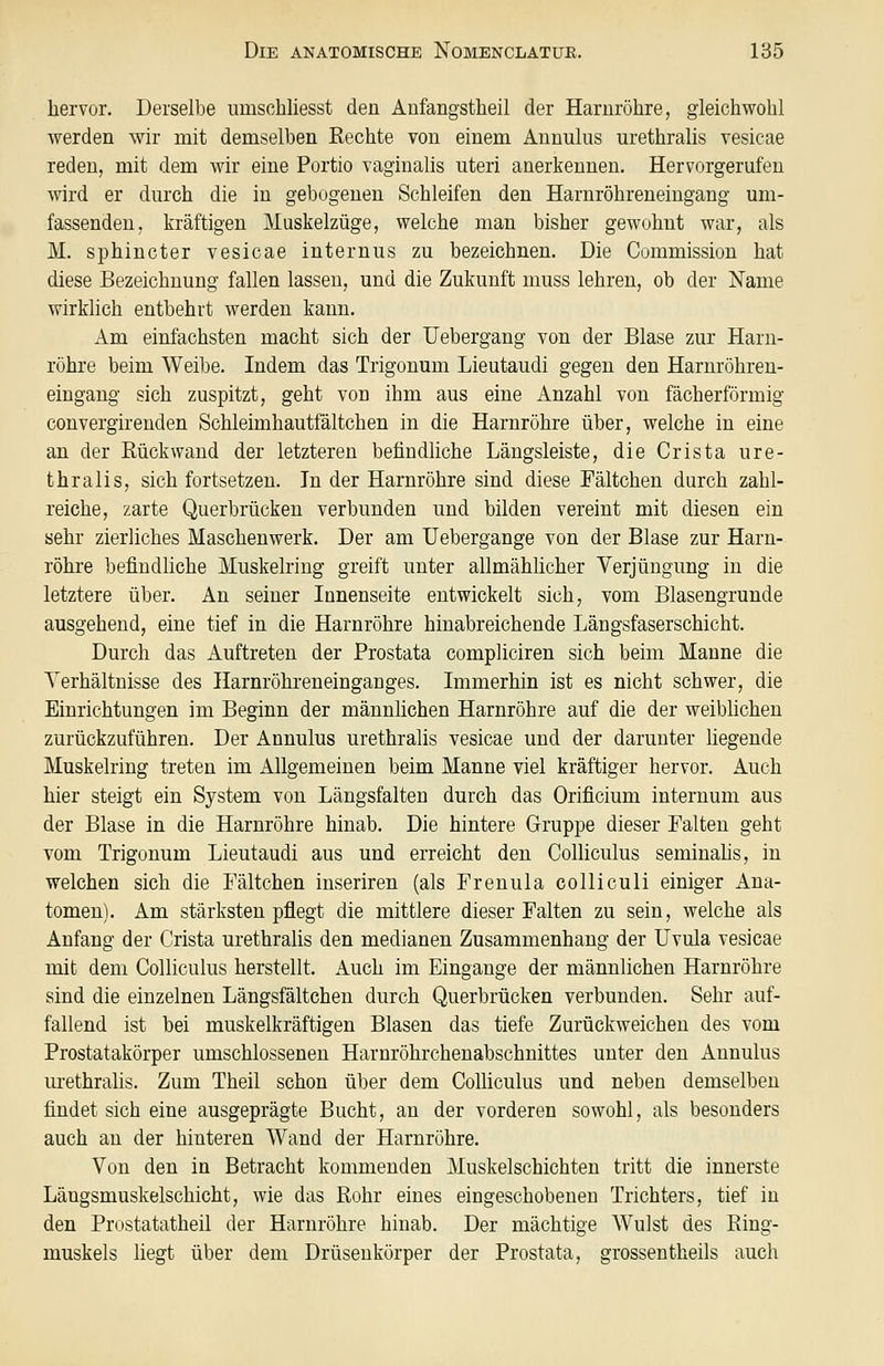 hervor. Derselbe umschliesst den Anfangstheil der Harnröhre, gleichwohl werden wir mit demselben Rechte von einem Annulus urethralis vesicae reden, mit dem wir eine Portio vaginalis uteri anerkennen. Hervorgerufen wird er durch die in gebogenen Schleifen den Harnröhreneingang um- fassenden, kräftigen Muskelzüge, welche man bisher gewohnt war, als M. sphincter vesicae internus zu bezeichnen. Die Commission hat diese Bezeichnung fallen lassen, und die Zukunft inuss lehren, ob der Name wirklich entbehrt werden kann. Am einfachsten macht sich der Uebergang von der Blase zur Harn- röhre beim Weibe. Indem das Trigonum Lieutaudi gegen den Harnröhren- eingang sich zuspitzt, geht von ihm aus eine Anzahl von fächerförmig convergirenden Schleimhautfältchen in die Harnröhre über, welche in eine an der Rückwand der letzteren befindliche Längsleiste, die Crista ure- thralis, sich fortsetzen. In der Harnröhre sind diese Fältchen durch zahl- reiche, zarte Querbrücken verbunden und bilden vereint mit diesen ein sehr zierliches Maschenwerk. Der am Uebergange von der Blase zur Harn- röhre befindliche Muskelriug greift unter allmähücher Verjüngung in die letztere über. An seiner Innenseite entwickelt sich, vom Blasengrunde ausgehend, eine tief in die Harnröhre hinabreichende Längsfaserschicht. Durch das Auftreten der Prostata compliciren sich beim Manne die Verhältnisse des Harnröhreneinganges. Immerhin ist es nicht schwer, die Einrichtungen im Beginn der männlichen Harnröhre auf die der weiblichen zurückzuführen. Der Annulus urethralis vesicae und der darunter liegende Muskelring treten im Allgemeinen beim Manne viel kräftiger hervor. Auch hier steigt ein System von Längsfalten durch das Orificium internum aus der Blase in die Harnröhre hinab. Die hintere Gruppe dieser Falten geht vom Trigonum Lieutaudi aus und erreicht den Colliculus seminahs, in welchen sich die Fältchen inseriren (als Frenula colliculi einiger Ana- tomen). Am stärksten pflegt die mittlere dieser Falten zu sein, welche als Anfang der Crista urethralis den medianen Zusammenhang der Uvula vesicae mit dem Colliculus herstellt. Auch im Eingange der männlichen Harnröhre sind die einzelnen Längsfältchen durch Querbrücken verbunden. Sehr auf- fallend ist bei muskelkräftigen Blasen das tiefe Zurückweichen des vom Prostatakörper umschlossenen Harnröhrchenabschnittes unter den Annulus urethralis. Zum Theil schon über dem Colliculus und neben demselben findet sich eine ausgeprägte Bucht, an der vorderen sowohl, als besonders auch an der hinteren Wand der Harnröhre. Von den in Betracht kommenden Muskelschichten tritt die innerste Längsmuskelschicht, wie das Rohr eines eingeschobeneu Trichters, tief in den Prostatatheil der Harnröhre hinab. Der mächtige Wulst des Ring- muskels liegt über dem Drüseukörper der Prostata, grossentheils auch