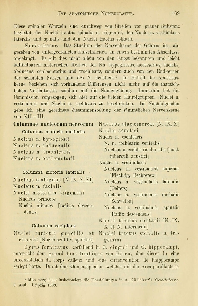 Diese spinalen Wurzeln sind durchweg von Streifen von grauer Substanz begleitet, den Nuclei tractus spinalis n. trigemini, den Nuclei n. vestibularis lateralis und spinalis und den Nuclei tractus solitarii. Nervenkerne. Das Studium der Nervenkerne des Gehirns ist, ab- gesehen von untergeordneten Einzelnheiteu an einem bestimmten Abschlüsse angelangt. Es gilt dies nicht allein von den längst bekannten und leicht auffindbaren motorischen Kernen der Nn. hypoglossus, accessorius, facialis, abducens, oculomotorius und trochlearis, sondern auch von den Endkernen der sensiblen Nerven und des N. acusticus.^ In Betreff der Acusticus- kerne beziehen sich vorhandene Differenzen nicht mehr auf die thatsäch- lichen Verhältnisse, sondern auf die Namengebung, Immerhin hat die Commission vorgezogen, sich hier auf die beiden Hauptgruppen: Nuclei n. vestibularis und Nuclei n. cochlearis zu beschränken. Im Nachfolgenden gebe ich eine geordnete Zusammenstellung der sämmtlicheu Nervenkerne von XII-III. Columnae nucleorum nervorum Columna motoria medialis Nucleus n. hypoglossi Nucleus n. abducentis Nucleus n. trochlearis Nucleus n. oculomotorii Columna motoria lateralis Nucleus ambiguus [N.IX,X,XI] Nucleus n. facialis Nuclei motorii n. trigemini Nucleus princeps Nuclei minores [radicis descen- dentis] Columna reeipiens Nuclei funiculi gracilis et Nuclei tractus spinalis u. tri- cuneati [Nuclei sentitivi spinales] gemini Gyrus fornicatus, zerfallend in G. cinguli und G. hippocampi, entspricht dem grand lobe limbique von Broca, den dieser in eine circonvolution du corps calleux und eine circonvolution de Thippocampe zerlegt hatte. Durch das Ehinencephalon, welches mit der Area parolfactoria Nucleus alae cinereae (N. IX, X] Nuclei acustici Nuclei n. cochlearis N, n. cochlearis ventralis Nucleus n. cochlearis dorsalis [nucl. tuberculi acustici] Nuclei n. vestibularis Nucleus n. vestibularis superior [Flechsig, Bechterew] Nucleus n. vestibularis lateraMs (Deiters) Nucleus n. vestibularis medialis [Schwalbe] Nucleus n. vestibularis [ßadix descendens] Nuclei tractus solitarii [N. IX, X et N. intermedii] spinalis ^ Man vergleiche insbesondere die Darstellungen in A.KöUiker's Gewehelelire. 6. Aufl. Leipzig 1893.