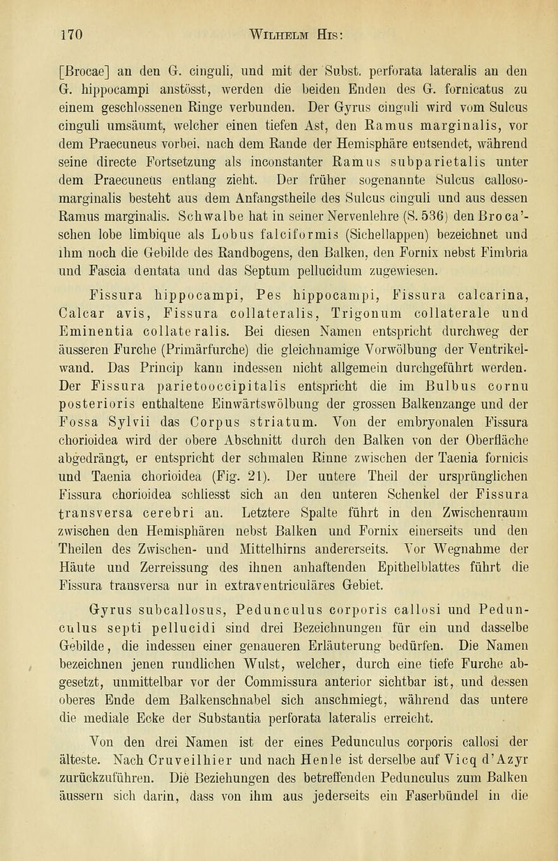 [ßrocae] an den G. cinguli, und mit der Subst. perforata lateralis an den G. hippocampi anstösst, werden die beiden Enden des G. fornicatus zu einem geschlossenen Ringe verbunden. Der Gyrus ciuguli wird vom Sulcus cinguli umsäumt, welcher einen tiefen Ast, den Ramus marginalis, vor dem Praecuneus vorbei, nach dem Rande der Hemisphäre entsendet, während seine directe Fortsetzung als inconstanter Ramus subparietalis unter dem Praecuneus entlang zieht. Der früher sogenannte Sulcus calloso- marginalis besteht aus dem Anfangstheile des Sulcus cinguli und aus dessen Ramus marginalis. Schwalbe hat in seiner Nervenlehre (S. 536) den Bro ca'- schen lobe limbique als Lobus falciformis (Sichellappen) bezeichnet und ihm noch die Gebilde des Randbogens, den Balken, den Fornix nebst Fimbria und Fascia dentata und das Septum pellucidum zugewiesen. Fissura hippocampi, Pes hippocampi, Fissura calcarina, Calcar avis, Fissura collateralis, Trigonum collaterale und Eminentia collateralis. Bei diesen Namen entspricht durchweg der äusseren Furche (Primärfurche) die gleichnamige Vorwölbung der Yentrikel- wand. Das Princip kann indessen nicht allgemein durchgeführt werden. Der Fissura parietooccipitalis entspricht die im Bulbus cornu posterioris enthaltene Einwärtswölbung der grossen Balkenzange und der Fossa Sylvii das Corpus striatum. Von der embryonalen Fissura chorioidea wird der obere Abschnitt durch den Balken von der Oberfläche abgedrängt, er entspricht der schmalen Rinne zwischen der Taenia fornicis und Taenia chorioidea (Fig. 21), Der untere Theil der ursprünglichen Fissura chorioidea schliesst sich an den unteren Schenkel der Fissura transversa cerebri an. Letztere Spalte führt in den Zwischenraum zwischen den Hemisphären nebst Balken und Fornix einerseits und den Theilen des Zwischen- und Mittelhirns andererseits. Vor Wegnahme der Häute und Zerreissung des ihnen anhaftenden Epithelblattes führt die Fissura transversa nar in extraventricuiäres Gebiet. Gyrus subcallosus, Pedunculus corporis callosi und Pedun- Cülus septi pellucidi sind drei Bezeichnungen für ein und dasselbe Gebilde, die indessen einer genaueren Erläuterung bedürfen. Die Namen bezeichnen jenen rundlichen Wulst, welcher, durch eine tiefe Furche ab- gesetzt, unmittelbar vor der Commissura anterior sichtbar ist, und dessen oberes Ende dem Balkenschnabel sich anschmiegt, während das untere die mediale Ecke der Substantia perforata lateralis erreicht. Von den drei Namen ist der eines Pedunculus corporis callosi der älteste. Nach Cruveilhier und nach Henle ist derselbe auf Vicq d'Azyr zurückzuführen. Die Beziehungen des betreffenden Pedunculus zum Balken äussern sich darin, dass von ihm aus jederseits ein Faserbündel in die