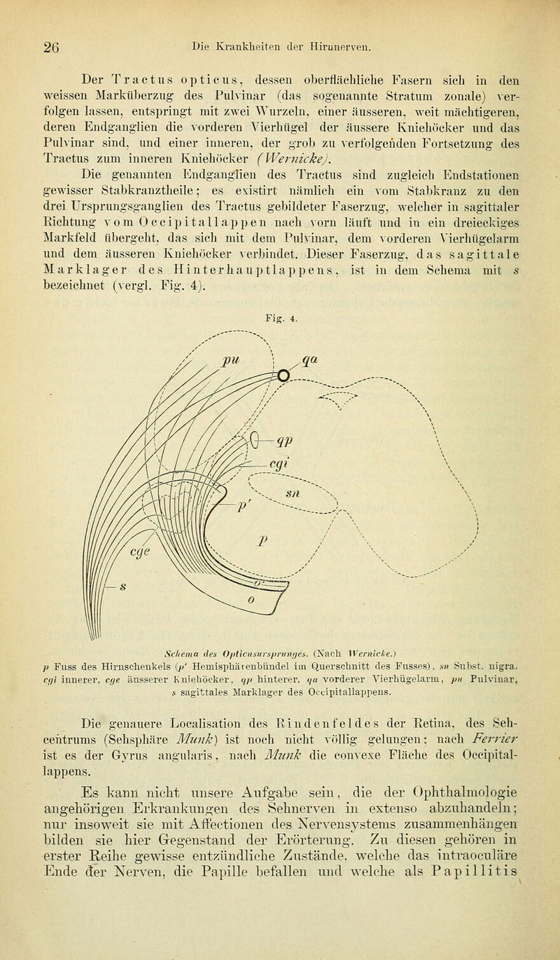 Der Tractus opticus, dessen oberflächliche Fasern sich in den weissen Marküberzug des Pulvinar (das sogenannte Stratum zonale) ver- folgen lassen, entspringt mit zwei Wurzeln, einer äusseren, weit mächtigeren, deren Endganglien die vorderen Vierhügel der äussere Kniehöcker und das Pulvinar sind, und einer inneren, der grob zu verfolgenden Fortsetzung des Tractus zum inneren Kniehöcker (Wei-nickeJ. Die genannten Endganglien des Tractus sind zugleich Endstationen gewisser Stabkranztheile; es existirt nämlich ein vom Stabkranz zu den drei Ursprungsganglien des Tractus gebildeter Faserzug, welcher in sagittaler Eichtung vom Occipitalläppen nach vorn läuft und in ein dreieckiges Markfeld tibergeht, das sich mit dem Pulvinar, dem vorderen Vierhügelarm und dem äusseren Kniehöcker verbindet. Dieser Faserzug, das sagittale M a r k 1 a g e r des H i n t e r h a u p 11 a p p e n s , ist in dem Schema mit s bezeichnet (vergl. Fig. 4). Fig. 4. Sc/iema des Opticiisnrspriinf/es. (Nach. Wernicfie.) p Puss des Hirnsclienkels (// Hemispliäienlbimdel im Querschnitt des Fusses), sn Suhst. nigra, cgi innerer, cge äusserer Kniehöcker, (ß> liinterer, qa vorderer Vierhügelarm, pii Pulvinar, s sagittales Marklager des Oecipitallappens. Die genauere Localisation des Ein den fei des der Retina, des Seh- ceiitrums (Sehsphäre Mmik) ist noch nicht völlig gelungen; nach Ferrier ist es der Gyrus angularis, nach Munk die convexe Fläche des Occipital- lappens. Es kann nicht unsere Aufgabe sein, die der Ophtlialmologie angeliörigeii Erkrankungen des Sehnerven in extenso abzuhandeln; nur insoweit sie mit AfFectionen des Nervensystems zusammenliängen bilden sie hier Gregenstand der Erörterung. Zu diesen gehören in erster Reihe gewisse entzündliche Zustände, welche das intraoculäre Ende der Nerven, die Papille befallen und welche als Papillitis