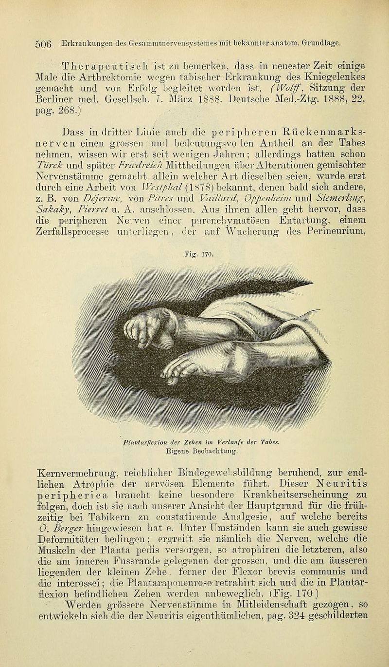 Therapentisch ist zu bemerken, dass in neuester Zeit einige Male die Arthrektomie wogen tabischer P]rkrankung des Kniegelenkes gemacht und von Erfolg begleitet worden ist. (Wolf, Sitzung der Berliner med. Gesellsch. 7. März 1888. Deutsche Med.-Ztg. 1888, 22, pag. 268.) Dass in dritter Linie auch die peripheren Rückenmarks- nerven einen grossen und bedeutungsvo len Antheil an der Tabes nehmen, wissen wir erst seit wenigen Jahren; allerdings hatten schon Türck und später Friedreicii Mittheilungen über Alterationen gemischter Nervenstämme gemacht, allein welcher Art dieselben seien, wurde erst durch eine Arbeit von Wcstphal (1878) bekannt, denen bald sich andere, z. B. von Dejertne, von Pifrcs und Vaillard, Oppenheiin und Siemerling, Sakaky, Pierret u. A. anschlössen. Aus ihnen allen geht hervor, dass die peripheren Nerven einer parenchymatösen Entartung, einem Zerfallsproces.se untei-liegen , uer auf Wucherung des Perineurium, Fig. 170. Plantarflexion der Zehen im Verlaufe der Tabes. Eigene Beobachtung. Kernvermehrung, reichlicher Bindegewebsbildung beruhend, zur end- lichen Atrophie der nervösen Elemente führt. Dieser Neuritis peripherica braucht keine besondere Krankheitserscheinung zu folgen, doch ist sie nach unserer Ansicht der Hauptgrund für die früh- zeitig bei Tabikern zu eonstatirende Analgesie, auf welche bereits O. Berger hingewiesen hat'e. Unter Umständen kann sie auch gewisse Deformitäten bedingen; ergreüt sie nämlich die Nerven, welche die Muskeln der Planta pedis versorgen, so atrophiren die letzteren, also die am inneren Fussrande gelegenen der grossen, und die am äusseren liegenden der kleinen Zehe. ferner der Flexor brevis communis und die interossei; die Plantaraponeurose-retrahirt sich und die in Plantar- üexion befindlichen Zehen werden unbeweglich. (Fig. 170) • . Werden grössere Nerven stamme in Mitleidenschaft gezogen, so entwickeln sich die der Neuritis eigenthümlichen, pag. 324 geschilderten