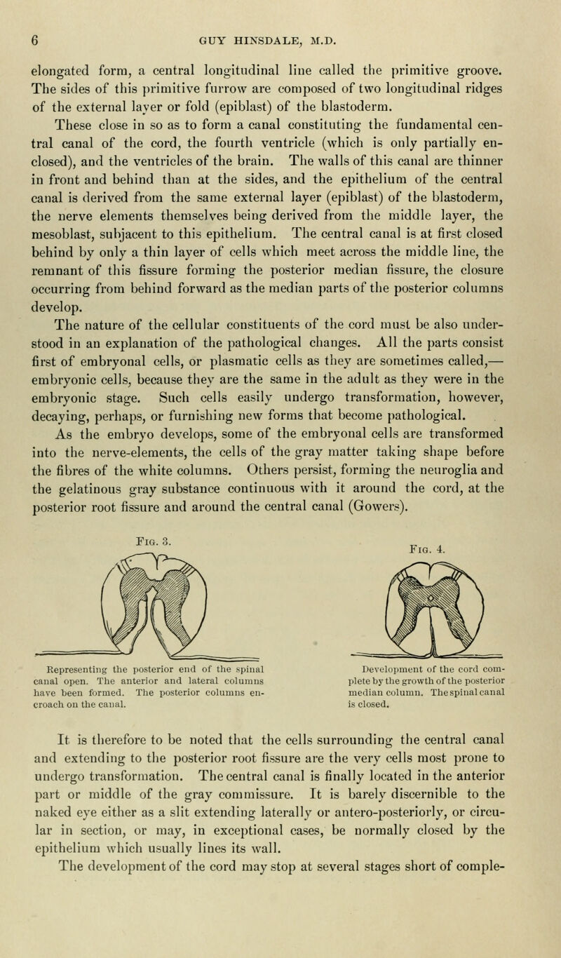 elongated form, a central longitudinal line called the primitive groove. The sides of this primitive furrow are composed of two longitudinal ridges of the external layer or fold (epiblast) of the blastoderm. These close in so as to form a canal constituting the fundamental cen- tral canal of the cord, the fourth ventricle (which is only partially en- closed), arid the ventricles of the brain. The walls of this canal are thinner in front and behind than at the sides, and the epithelium of the central canal is derived from the same external layer (epiblast) of the blastoderm, the nerve elements themselves being derived from the middle layer, the mesoblast, subjacent to this epithelium. The central canal is at first closed behind by only a thin layer of cells which meet across the middle line, the remnant of this fissure forming the posterior median fissure, the closure occurring from behind forward as the median parts of the posterior columns develop. The nature of the cellular constituents of the cord must be also under- stood in an explanation of the pathological changes. All the parts consist first of embryonal cells, or plasmatic cells as they are sometimes called,— embryonic cells, because they are the same in the adult as they were in the embryonic stage. Such cells easily undergo transformation, however, decaying, perhaps, or furnishing new forms that become pathological. As the embryo develops, some of the embryonal cells are transformed into the nerve-elements, the cells of the gray matter taking shape before the fibres of the white columns. Others persist, forming the neuroglia and the gelatinous gray substance continuous with it around the cord, at the posterior root fissure and around the central canal (Gowers). Fig. 3. Representing the posterior end of the spinal canal open. The anterior and lateral columns have been formed. The posterior columns en- croach on the canal. Fig. 4. Development of the cord com- plete by the growth of the posterior median column. The spinal canal is closed. It is therefore to be noted that the cells surrounding the central canal and extending to the posterior root fissure are the very cells most prone to undergo transformation. The central canal is finally located in the anterior part or middle of the gray commissure. It is barely discernible to the naked eye either as a slit extending laterally or antero-posteriorly, or circu- lar in section, or may, in exceptional cases, be normally closed by the epithelium which usually lines its wall. The development of the cord may stop at several stages short of comple-