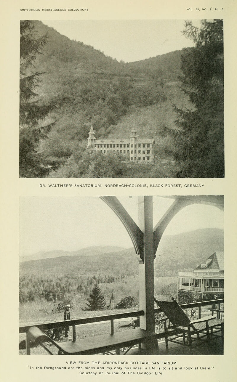 DR. WALTHER'S SANATORIUM, NORDRACH-COLONIE, BLACK FOREST, GERMANY VIEW FROM THE ADIRONDACK COTTAGE SANITARIUM In the foreground are the pines and my only business in life is to sit and look at them  Courtesy of Journal of The Outdoor Life