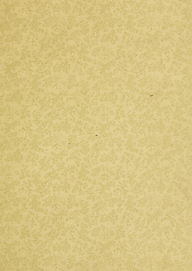 digitised image 3