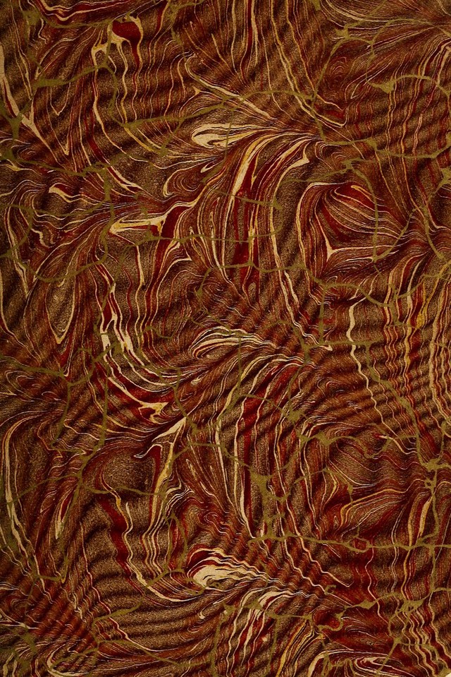 No text description is available for this image