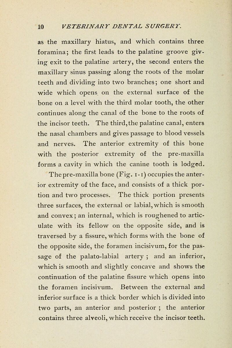 as the maxillary hiatus, and which contains three foramina; the first leads to the palatine groove giv- ing exit to the palatine artery, the second enters the maxillary sinus passing along the roots of the molar teeth and dividing into two branches; one short and wide which opens_ on the external surface of the bone on a level with the third molar tooth, the other continues along the canal of the bone to the roots of the incisor teeth. The third,the palatine canal, enters the nasal chambers and gives passage to blood vessels and nerves. The anterior extremity of this bone with the posterior extremity of the pre-maxilla forms a cavity in which the canine tooth is lodged. The pre-maxilla bone (Fig. i-i) occupies the anter- ior extremity of the face, and consists of a thick por- tion and two processes. The thick portion presents three surfaces, the external or labial, which is smooth and convex; an internal, which is roughened to artic- ulate with its fellow on the opposite side, and is traversed by a fissure, which forms with the bone of the opposite side, the foramen incisivum, for the pas- sage of the palato-labial artery ; and an inferior, which is smooth and slightly concave and shows the continuation of the palatine fissure which opens into the foramen incisivum. Between the external and inferior surface is a thick border which is divided into two parts, an anterior and posterior ; the anterior contains three alveoli, which receive the incisor teeth.