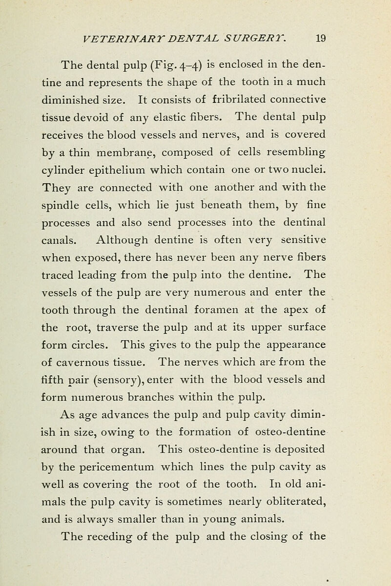 The dental pulp (Fig. 4-4) is enclosed in the den- tine and represents the shape of the tooth in a much diminished size. It consists of fribrilated connective tissue devoid of any elastic fibers. The dental pulp receives the blood vessels and nerves, and is covered by a thin membrane, composed of cells resembling cylinder epithelium which contain one or two nuclei. They are connected with one another and with the spindle cells, which lie just beneath them, by fine processes and also send processes into the dentinal canals. Although dentine is often very sensitive when exposed, there has never been any nerve fibers traced leading from the pulp into the dentine. The vessels of the pulp are very numerous and enter the tooth through the dentinal foramen at the apex of the root, traverse the pulp and at its upper surface form circles. This gives to the pulp the appearance of cavernous tissue. The nerves which are from the fifth pair (sensory), enter with the blood vessels and form numerous branches within the pulp. As age advances the pulp and pulp cavity dimin- ish in size, owing to the formation of osteo-dentine around that organ. This osteo-dentine is deposited by the pericementum which lines the pulp cavity as well as covering the root of the tooth. In old ani- mals the pulp cavity is sometimes nearly obliterated, and is always smaller than in young animals. The receding of the pulp and the closing of the