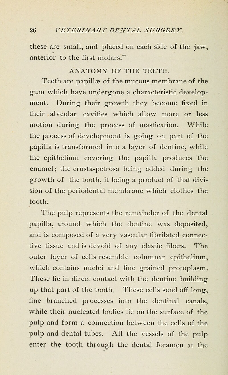 these are small, and placed on each side of the jaw, anterior to the first molars. ANATOMY OF THE TEETH. Teeth are papilla? of the mucous membrane of the gum which have undergone a characteristic develop- ment. During their growth they become fixed in their alveolar cavities which allow more or less motion during the process of mastication. While the process of development is going on part of the papilla is transformed into a layer of dentine, while the epithelium covering the papilla produces the enamel; the crusta-petrosa being added during the growth of the tooth, it being a product of that divi- sion of the periodental membrane which clothes the tooth. The pulp represents the remainder of the dental papilla, around which the dentine was deposited, and is composed of a very vascular fibrilated connec- tive tissue and is devoid of any elastic fibers. The outer layer of cells resemble columnar epithelium, which contains nuclei and fine grained protoplasm. These lie in direct contact with the dentine building up that part of the tooth. These cells send off long, fine branched processes into the dentinal canals, while their nucleated bodies lie on the surface of the pulp and form a connection between the cells of the pulp and dental tubes. All the vessels of the pulp enter the tooth through the dental foramen at the