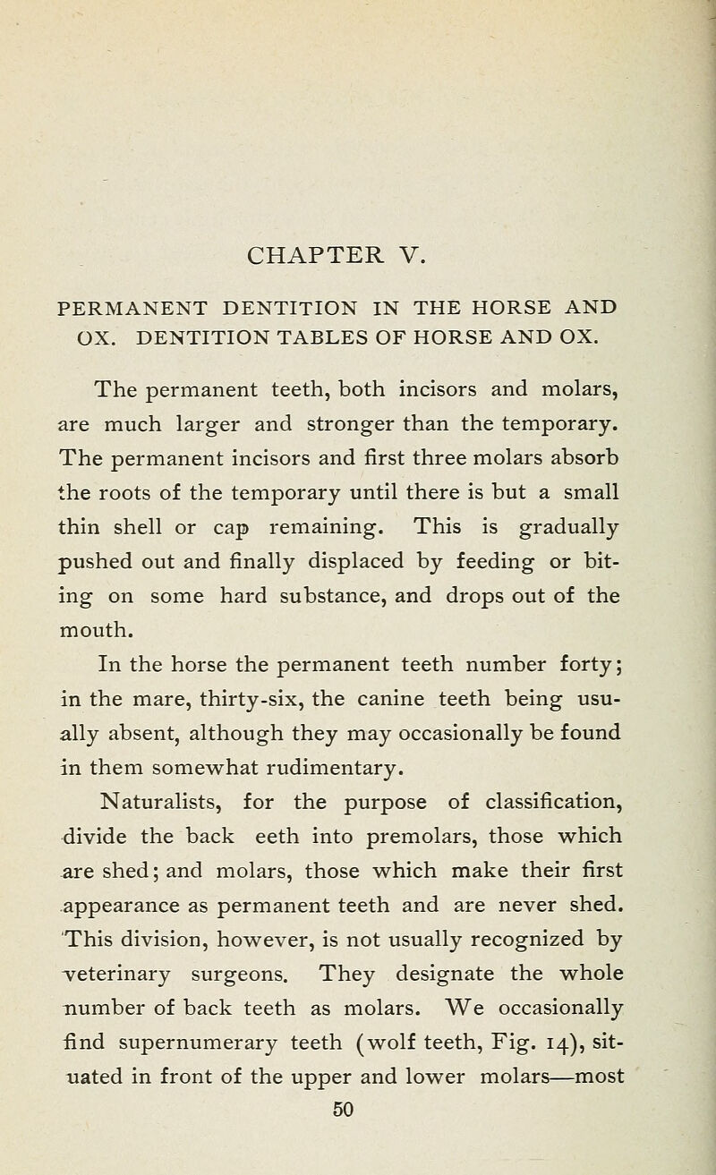 PERMANENT DENTITION IN THE HORSE AND OX. DENTITION TABLES OF HORSE AND OX. The permanent teeth, both incisors and molars, are much larger and stronger than the temporary. The permanent incisors and first three molars absorb the roots of the temporary until there is but a small thin shell or cap remaining. This is gradually pushed out and finally displaced by feeding or bit- ing on some hard substance, and drops out of the mouth. In the horse the permanent teeth number forty; in the mare, thirty-six, the canine teeth being usu- ally absent, although they may occasionally be found in them somewhat rudimentary. Naturalists, for the purpose of classification, divide the back eeth into premolars, those which are shed; and molars, those which make their first appearance as permanent teeth and are never shed. This division, however, is not usually recognized by veterinary surgeons. They designate the whole number of back teeth as molars. We occasionally find supernumerary teeth (wolf teeth, Fig. 14), sit- uated in front of the upper and lower molars—most